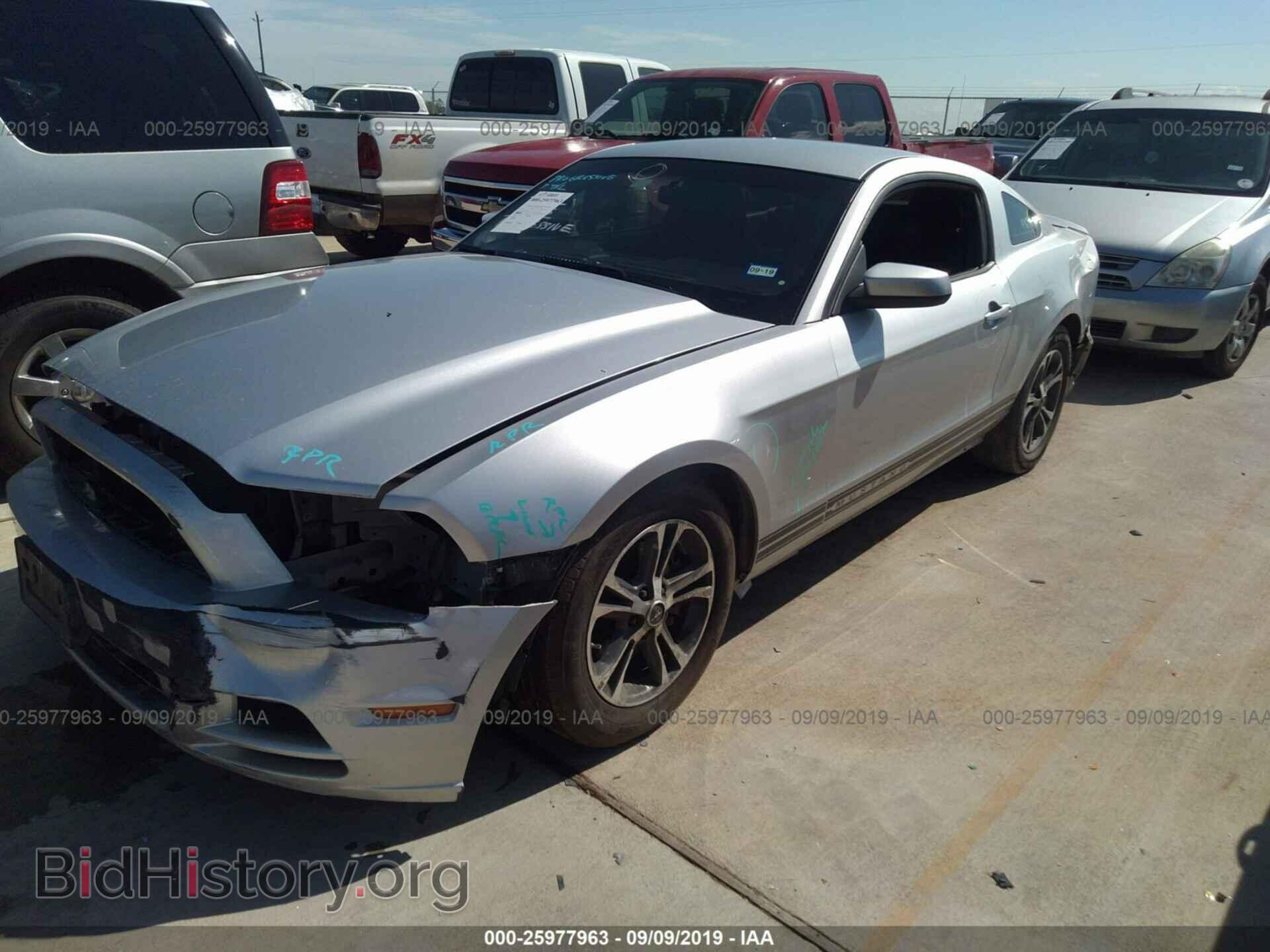 2014 FORD MUSTANG - VIN: 1ZVBP8AM5E5241452 - Фото 2