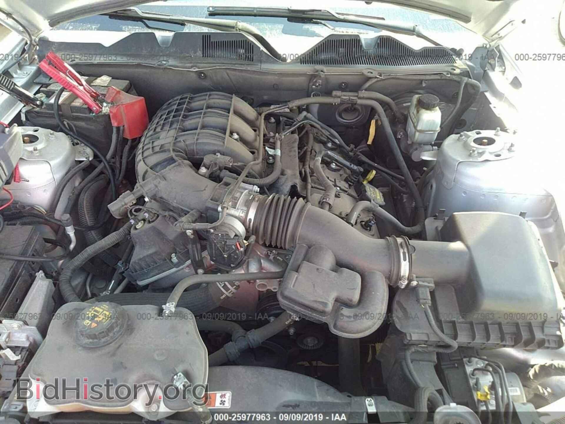 2014 FORD MUSTANG - VIN: 1ZVBP8AM5E5241452 - Фото 10