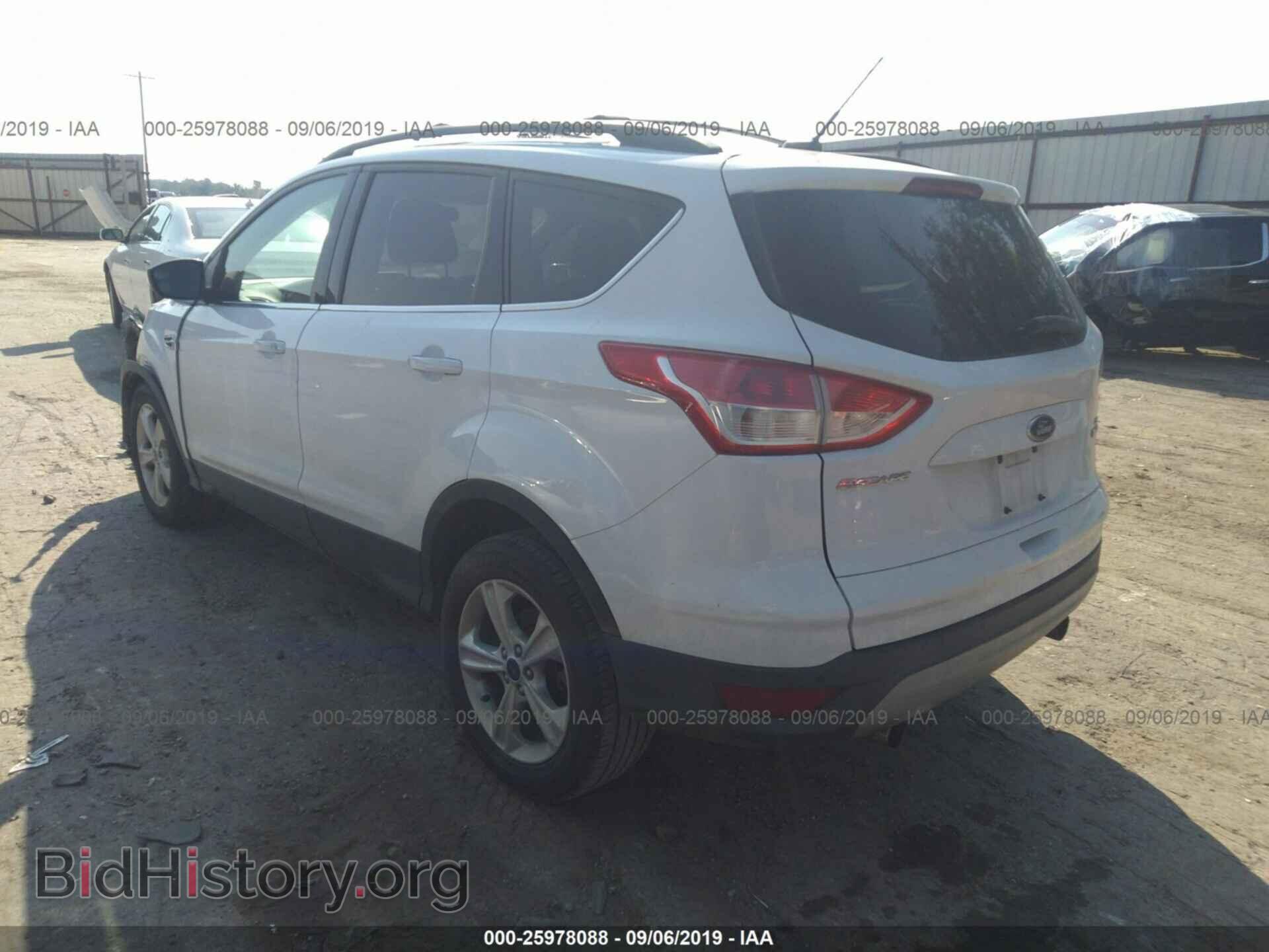 2013 FORD ESCAPE - VIN: 1FMCU0GX9DUD41802 - Фото 3