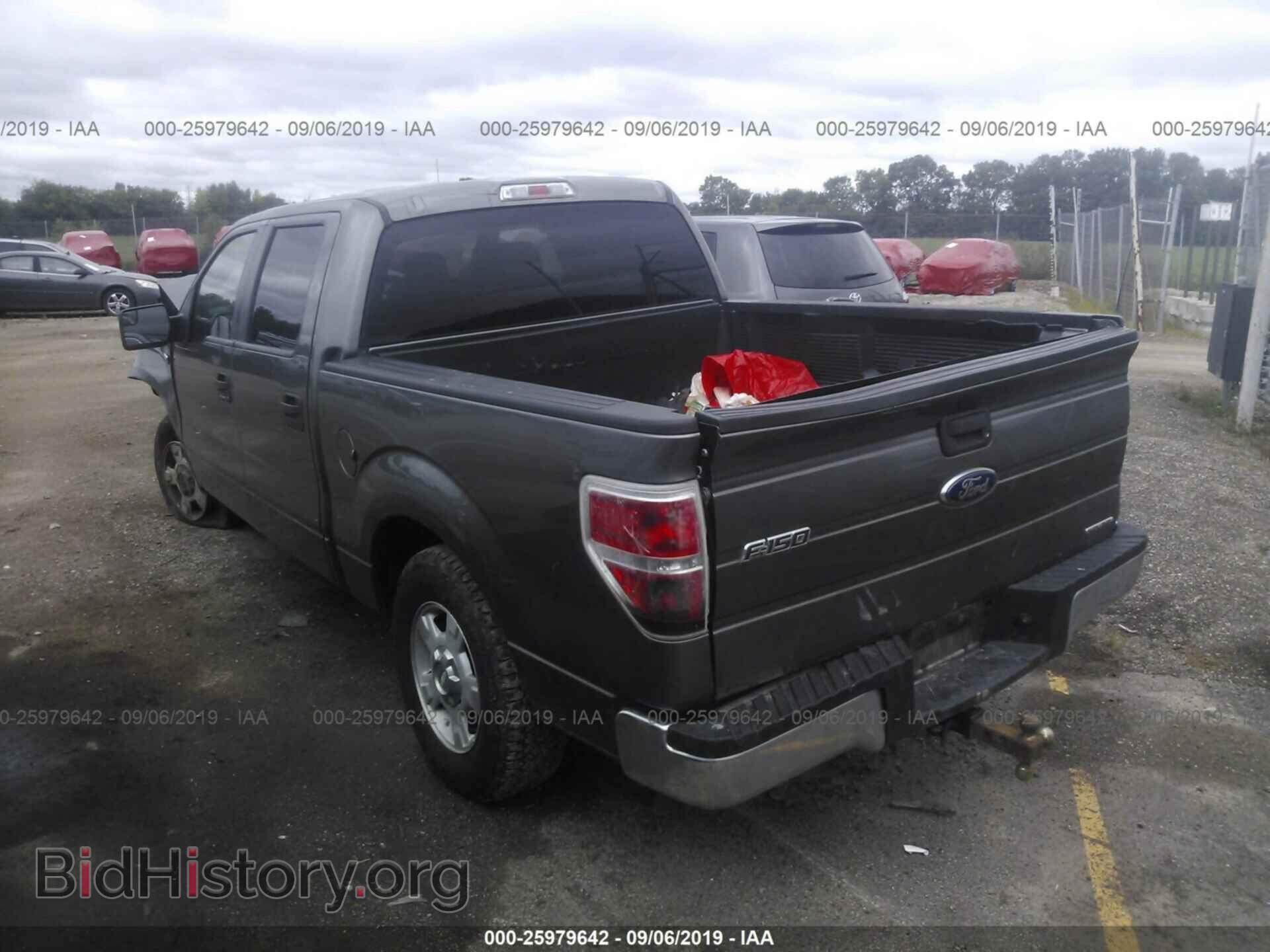 2013 FORD F150 - VIN: 1FTEW1CM1DFC13695 - Фото 3