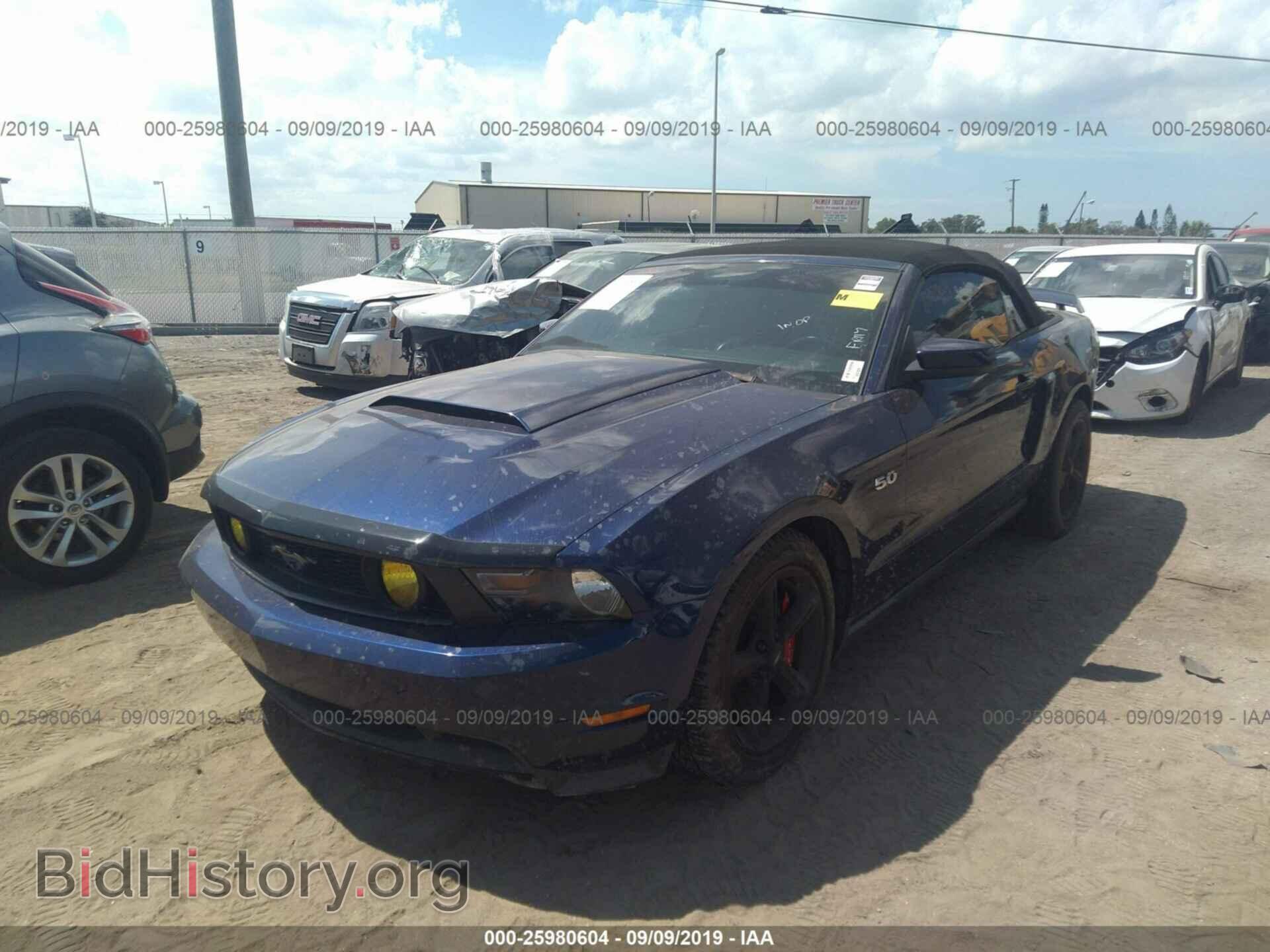 2012 FORD MUSTANG - VIN: 1ZVBP8FF1C5263004 - Фото 2