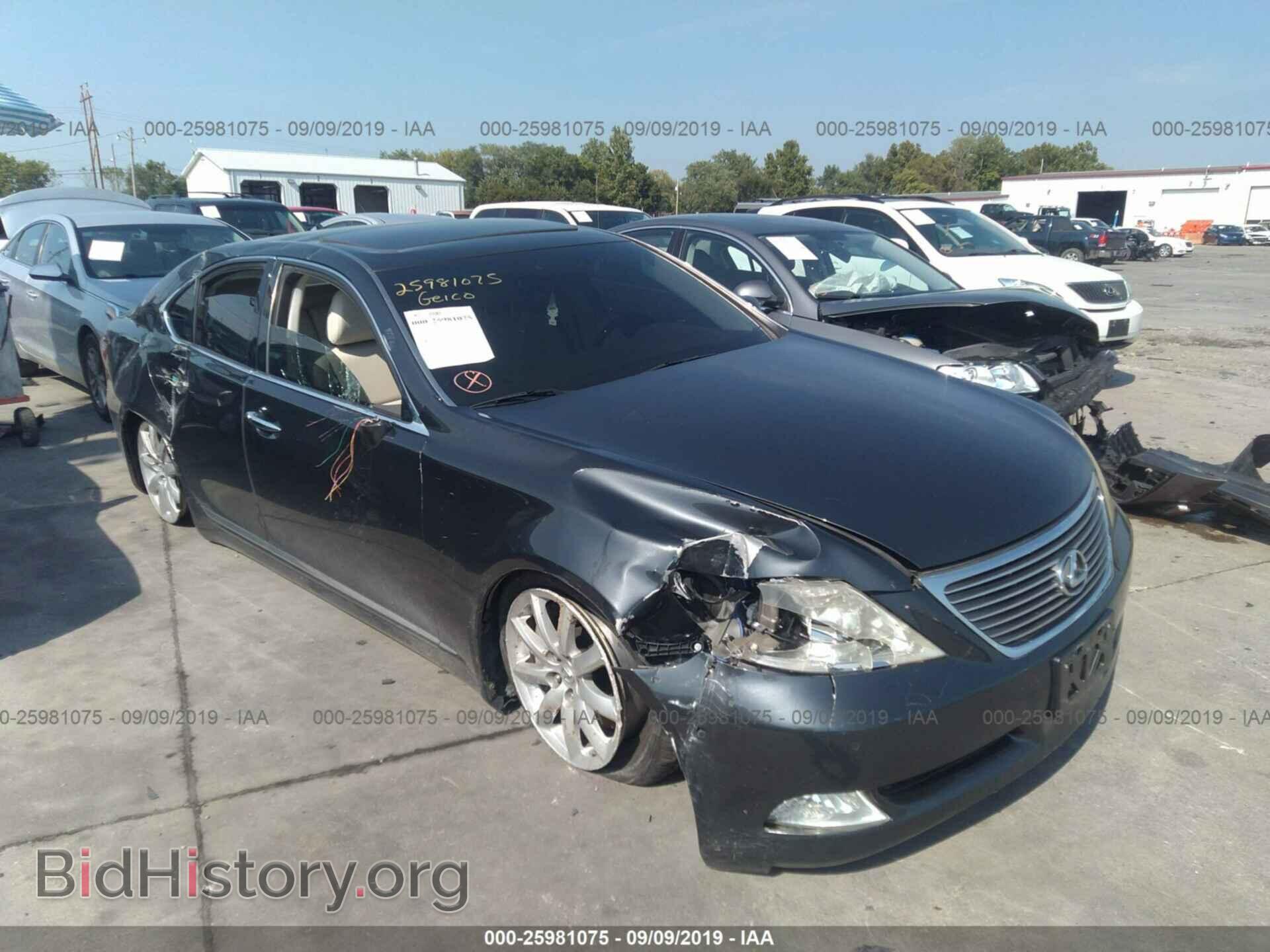 Фотография JTHCL46F295001933 - LEXUS LS 2009