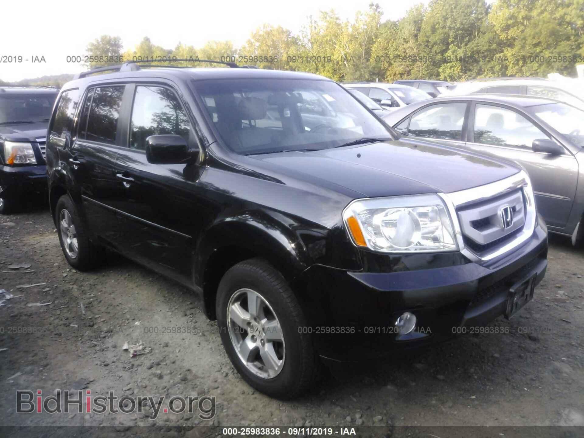 Фотография 5FNYF4H59BB006487 - HONDA PILOT 2011
