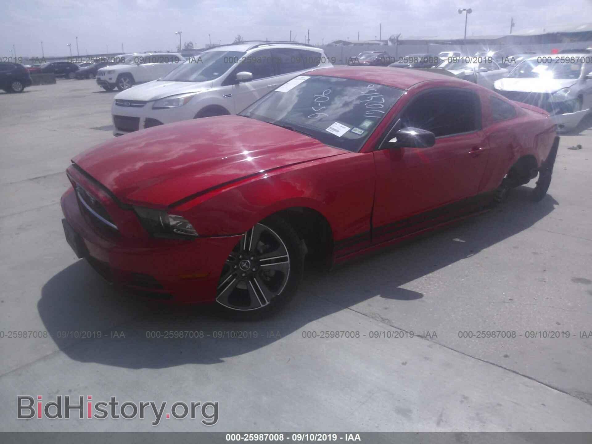 2013 FORD MUSTANG - VIN: 1ZVBP8AM3D5262086 - Фото 2