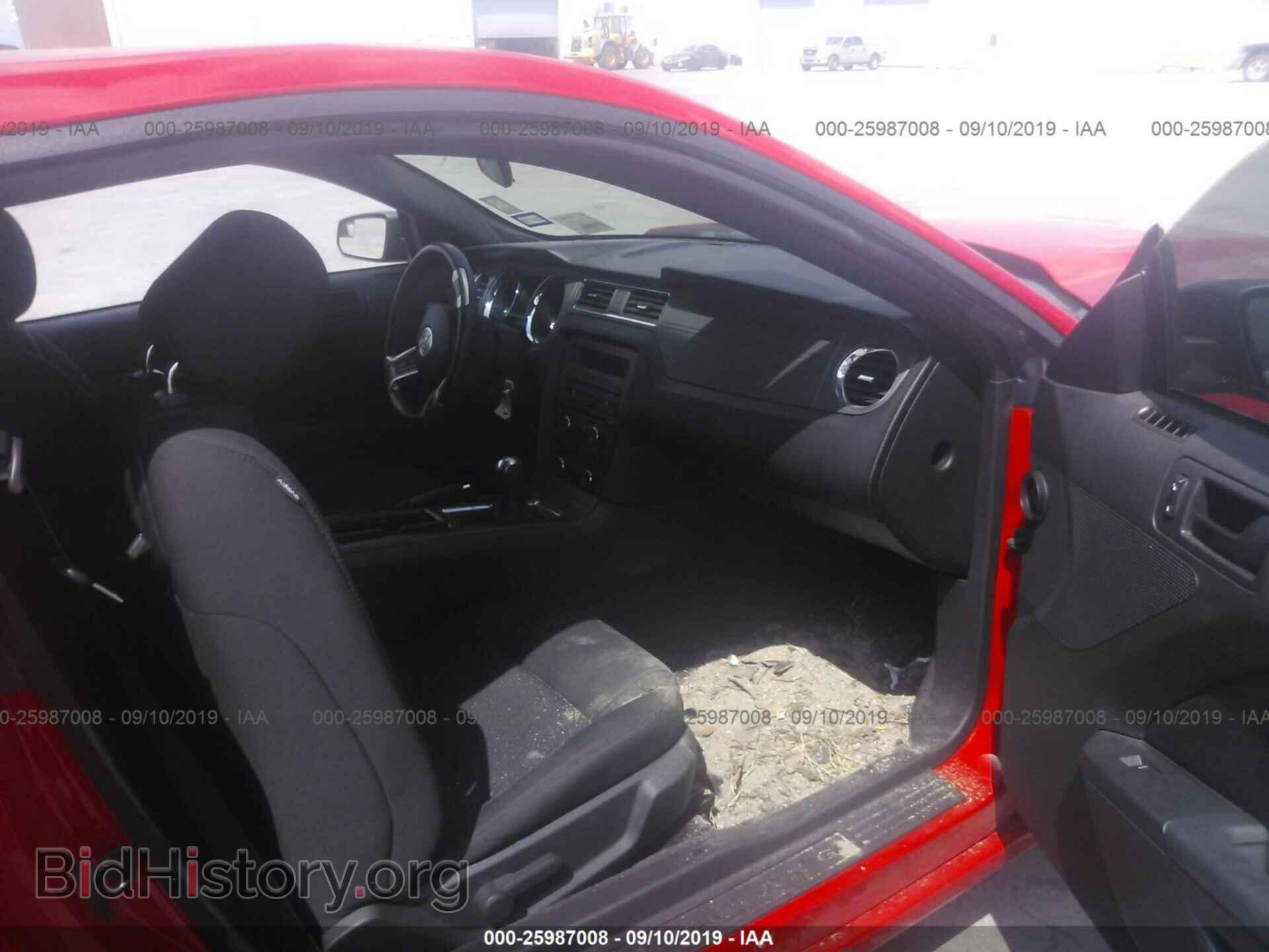 2013 FORD MUSTANG - VIN: 1ZVBP8AM3D5262086 - Фото 5