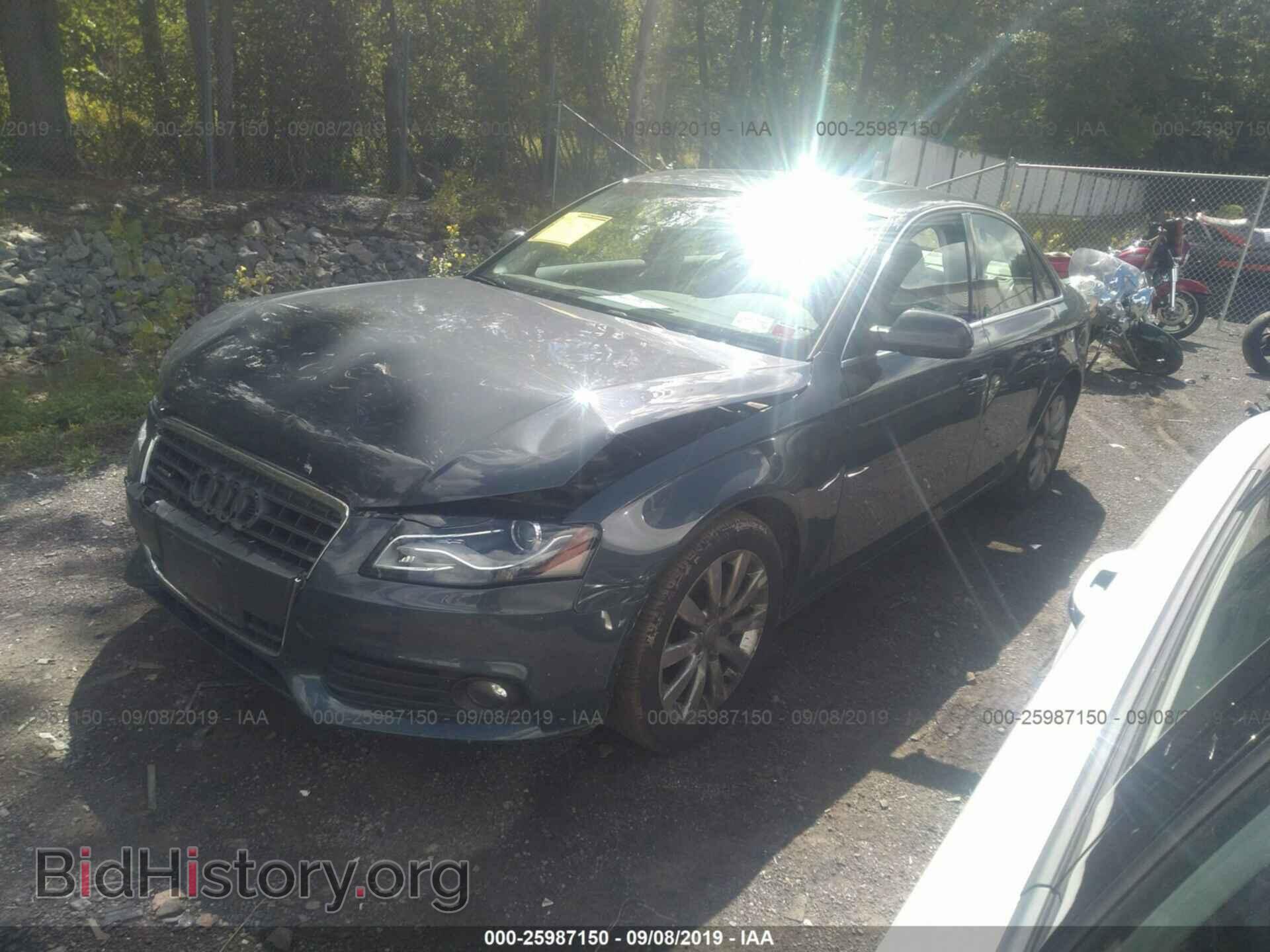 2010 AUDI A4 - VIN: WAUFFAFL1AN070902 - Фото 2