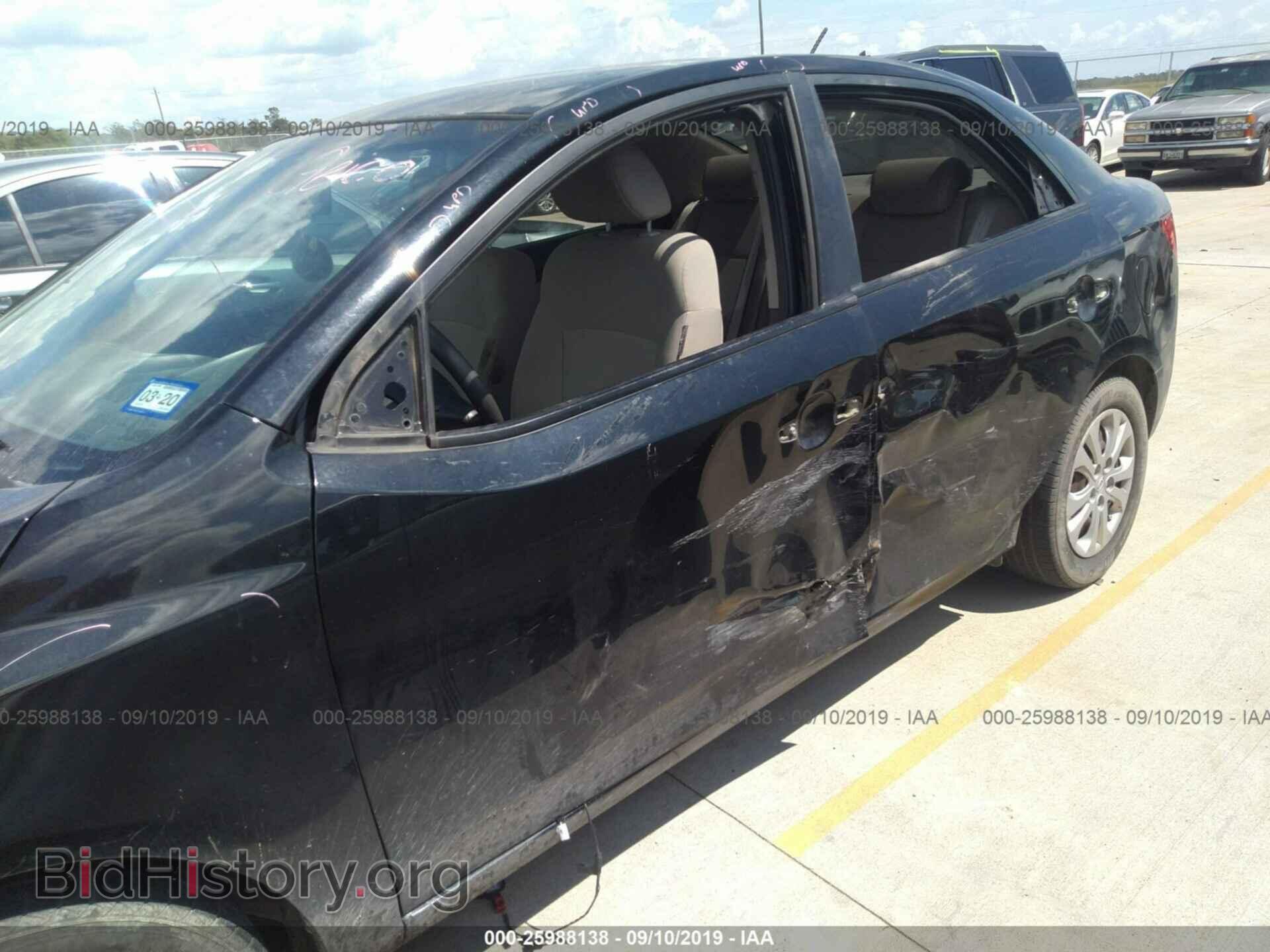 2013 KIA FORTE - VIN: KNAFT4A21D5649644 - Фото 6