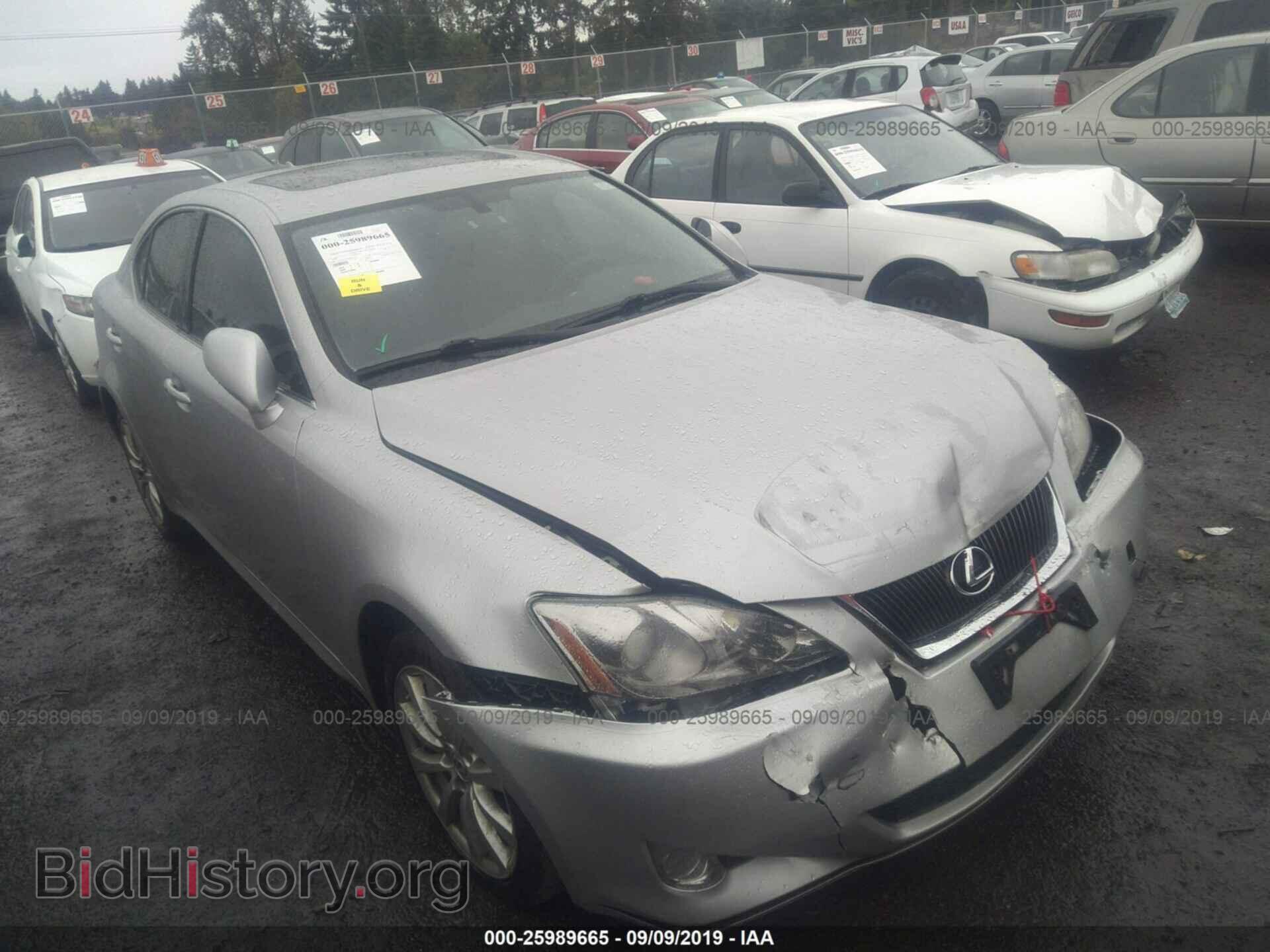 Photo JTHCK262785019377 - LEXUS IS 2008