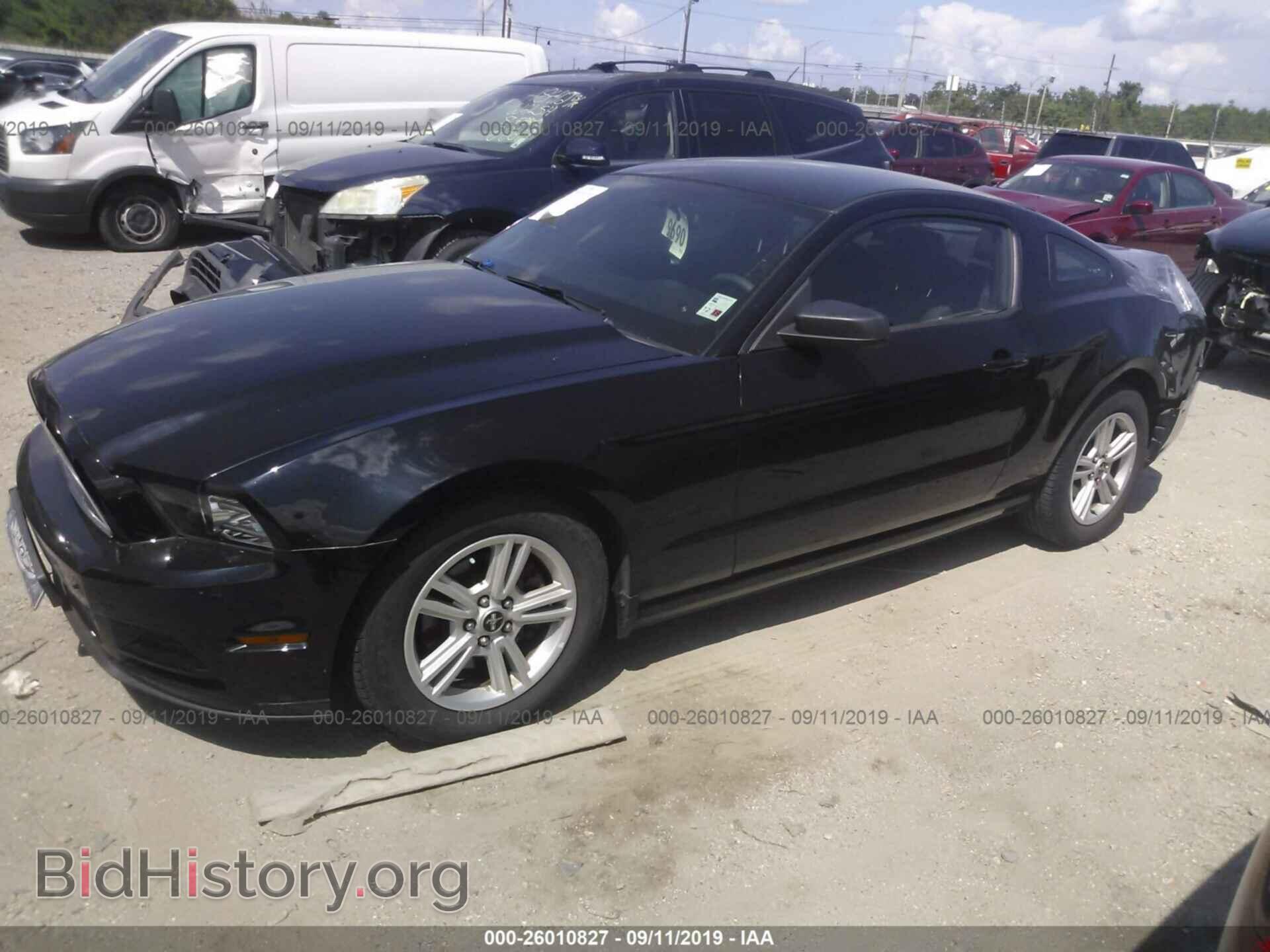 2014 FORD MUSTANG - VIN: 1ZVBP8AM5E5264696 - Фото 2