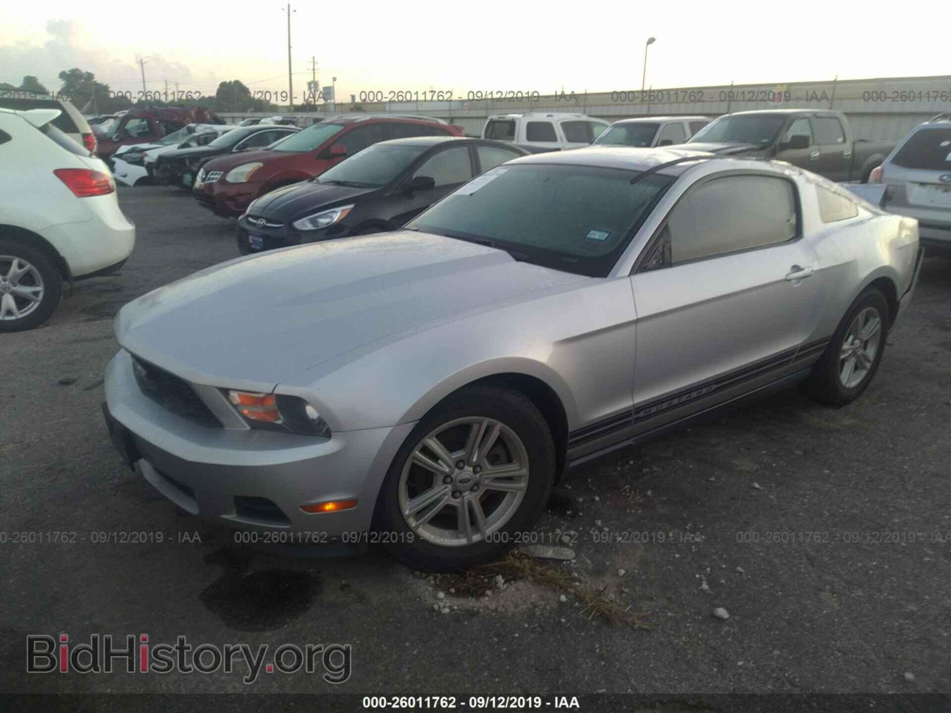 2012 FORD MUSTANG - VIN: 1ZVBP8AM6C5269855 - Фото 2