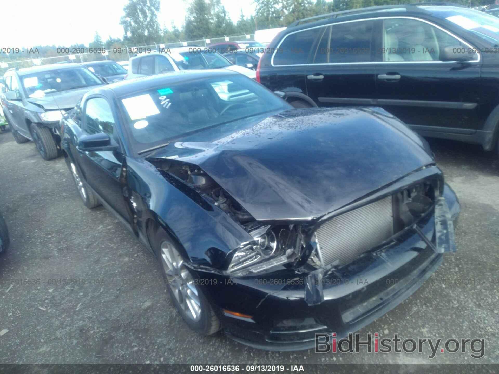 Photo 1ZVBP8AM6D5236324 - FORD MUSTANG 2013