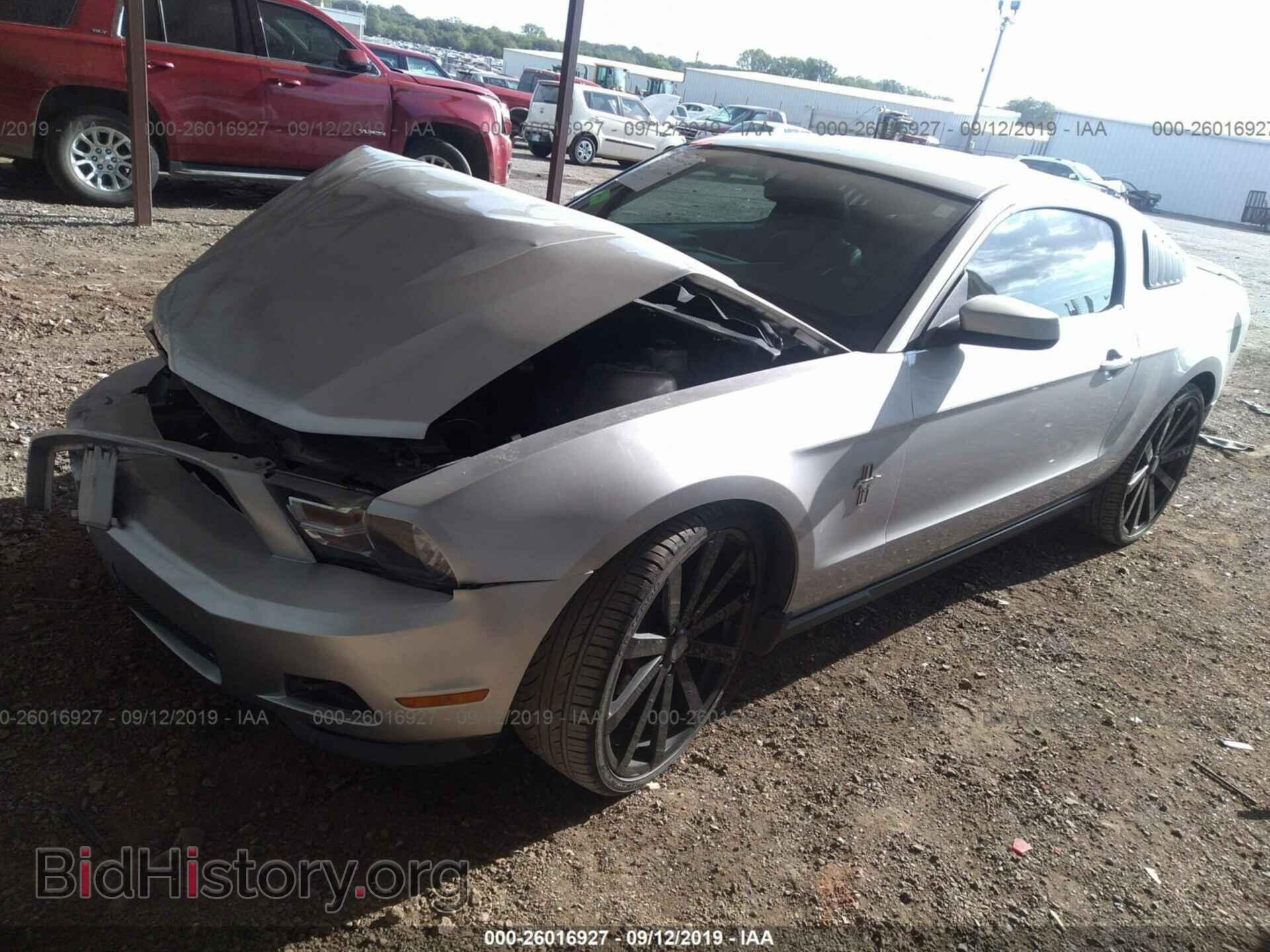2012 FORD MUSTANG - VIN: 1ZVBP8AM4C5263553 - Фото 2