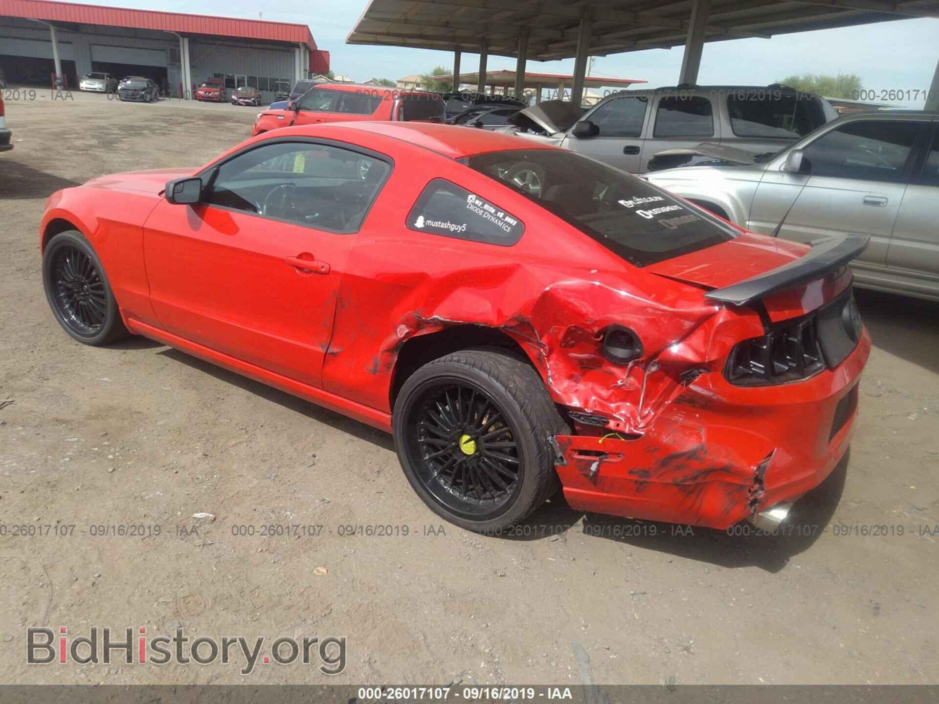 2013 FORD MUSTANG - VIN: 1ZVBP8AM8D5262570 - Фото 3