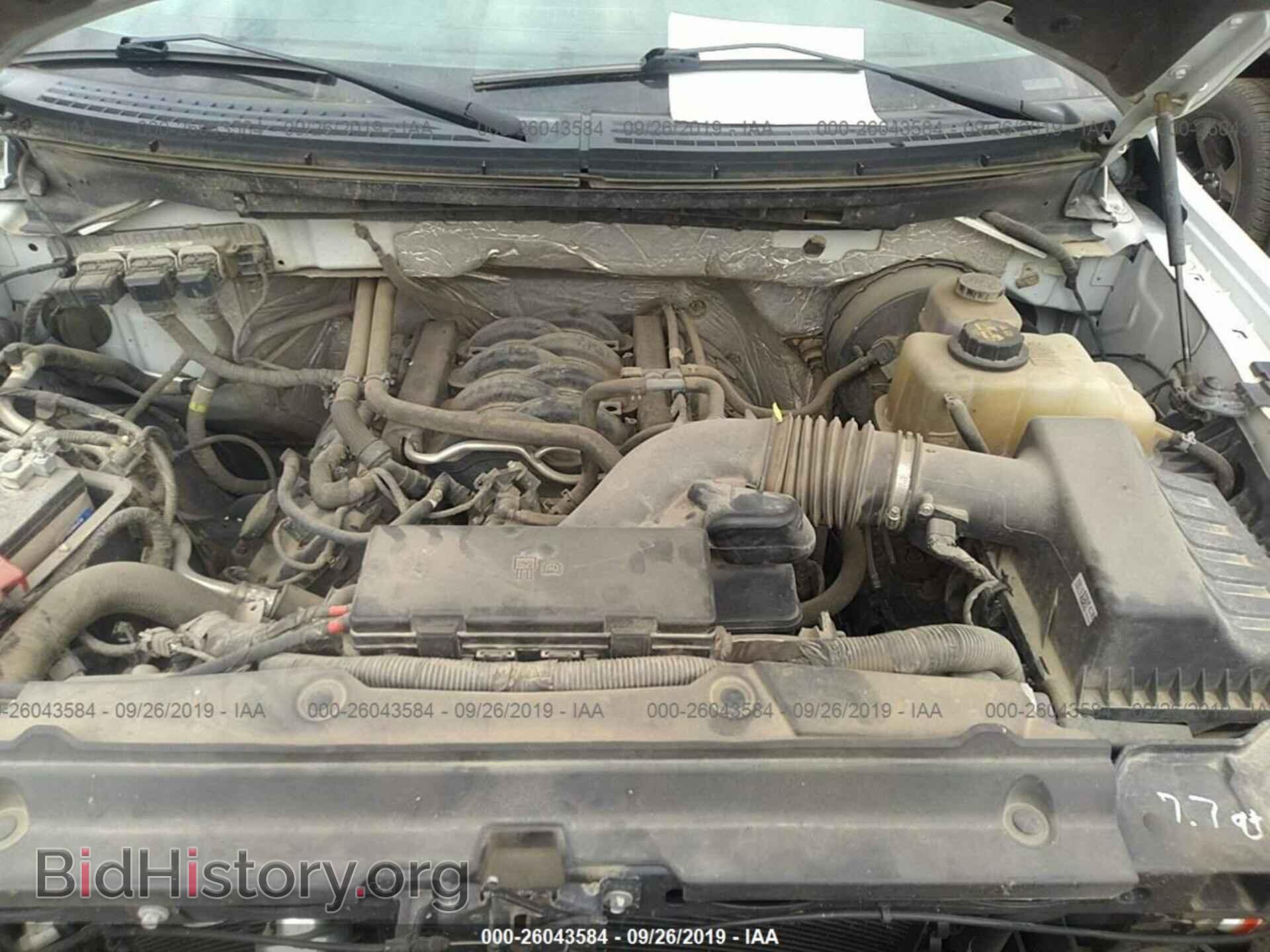 2013 FORD F150 - VIN: 1FTFX1CF2DKE04505 - Фото 10