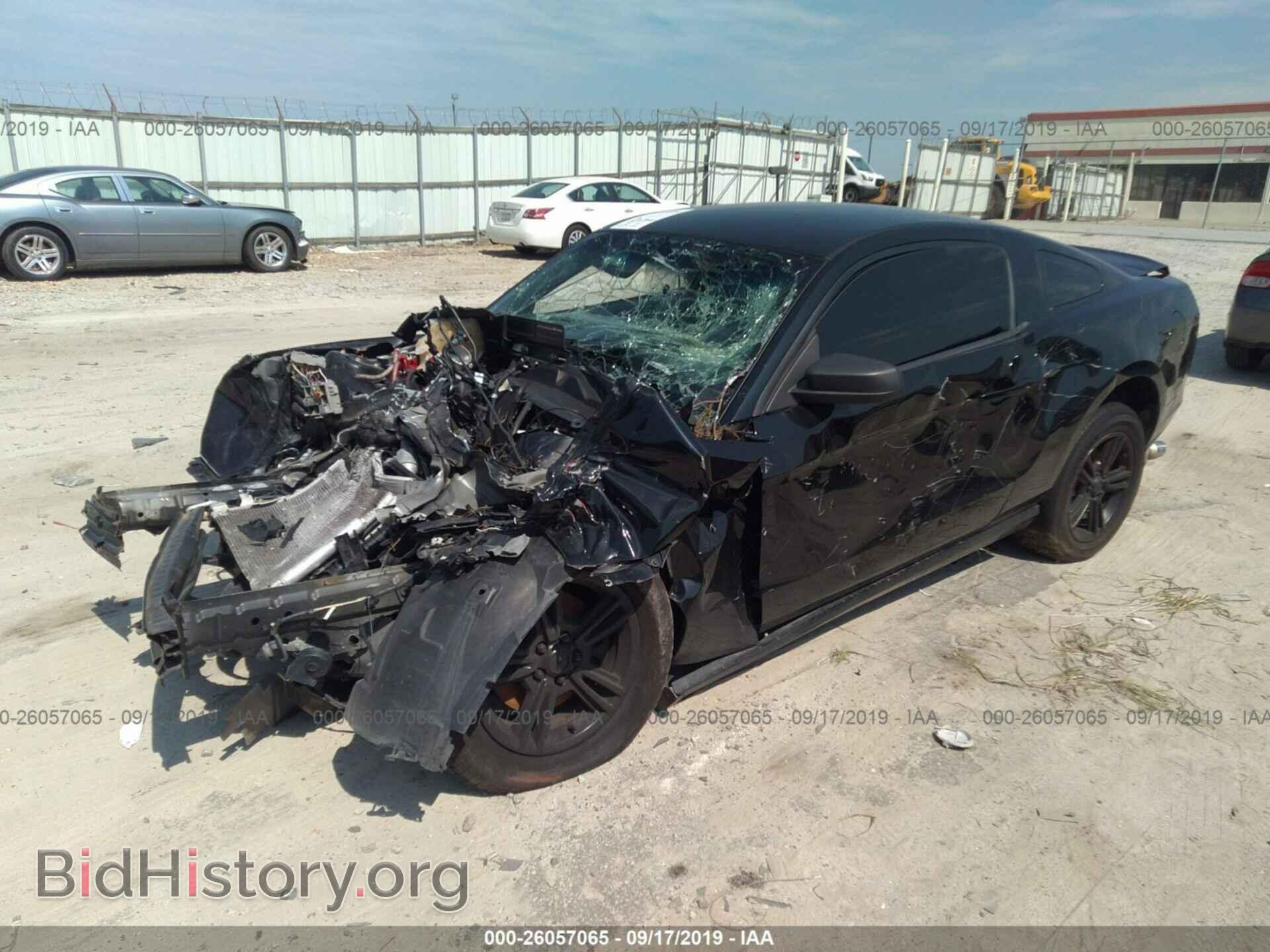 2014 FORD MUSTANG - VIN: 1ZVBP8AM8E5236634 - Фото 2