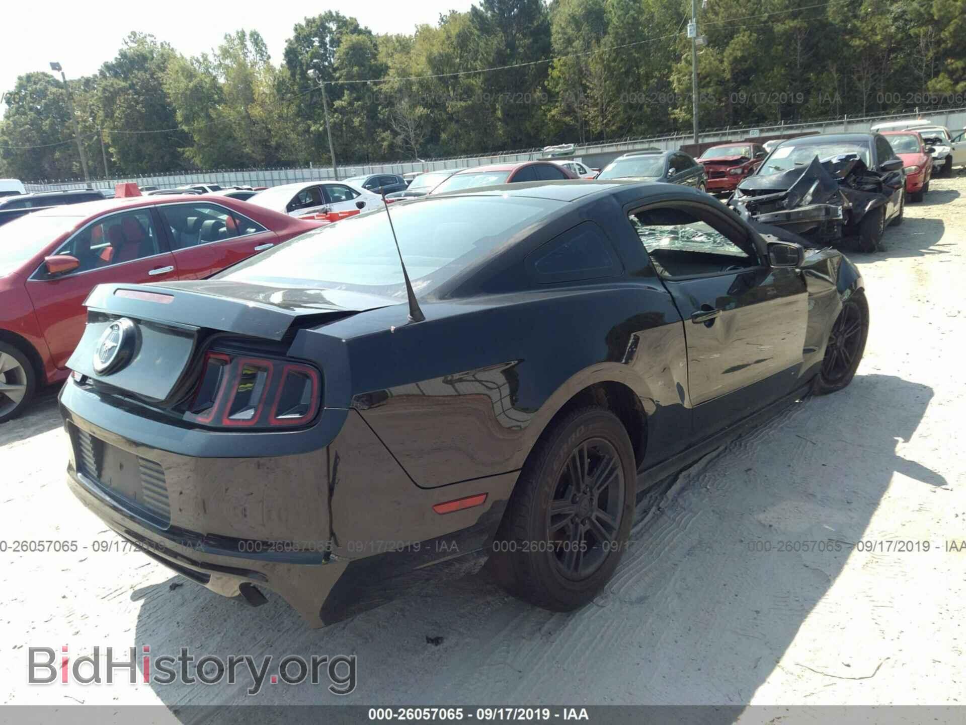 2014 FORD MUSTANG - VIN: 1ZVBP8AM8E5236634 - Фото 4
