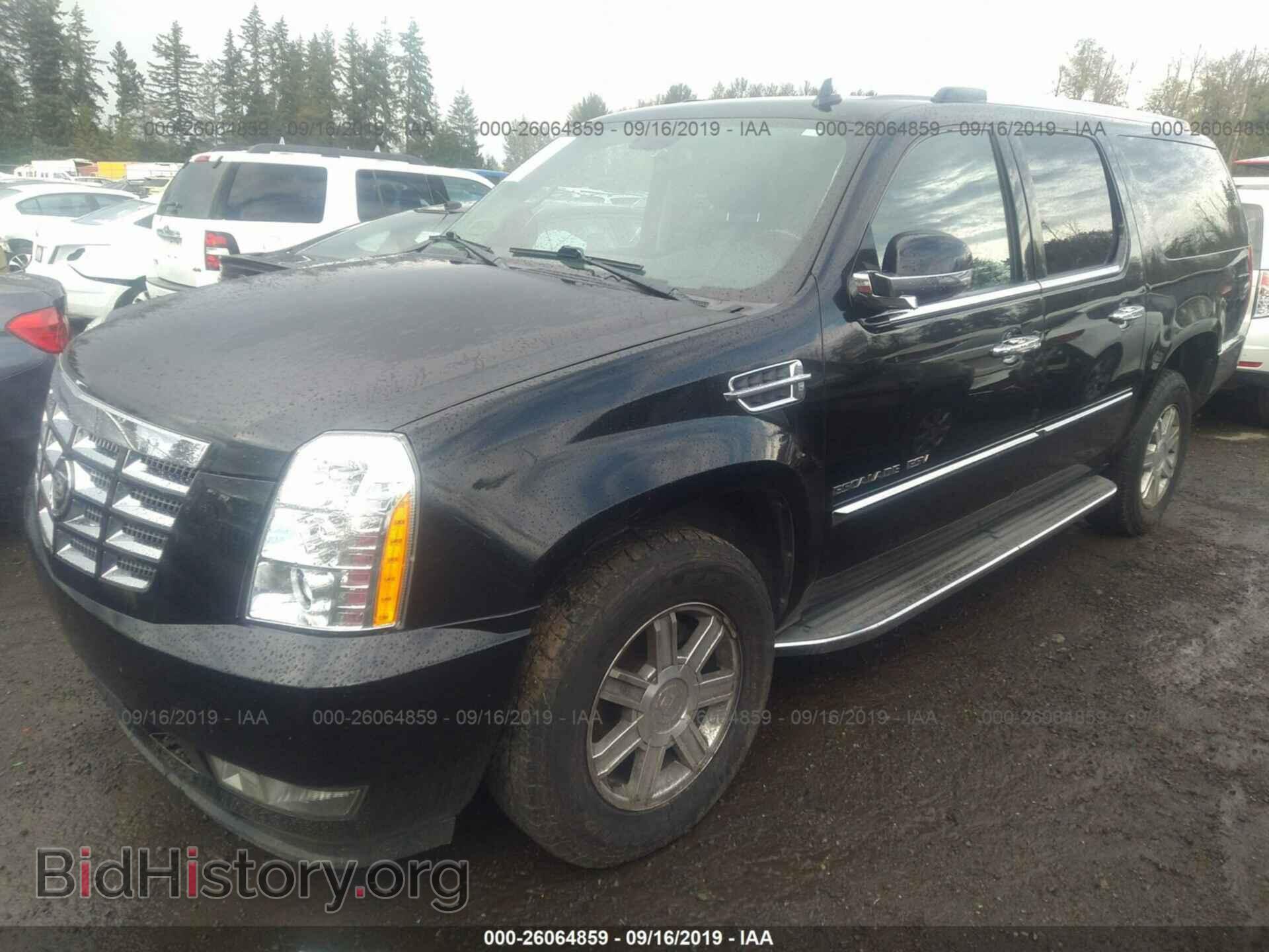 2011 CADILLAC ESCALADE - VIN: 1GYS3GEF1BR243038 - Фото 2