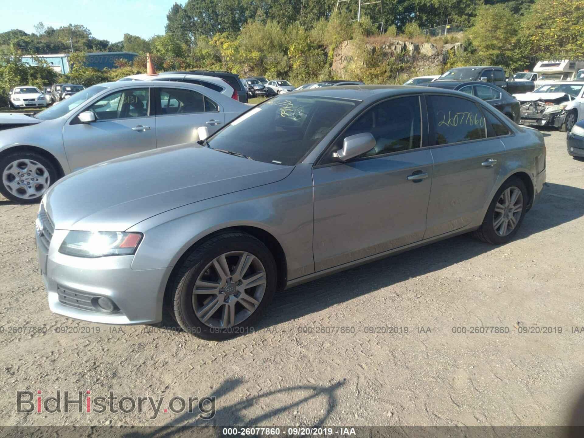 2010 AUDI A4 - VIN: WAUBFAFL3AN009162 - Фото 2