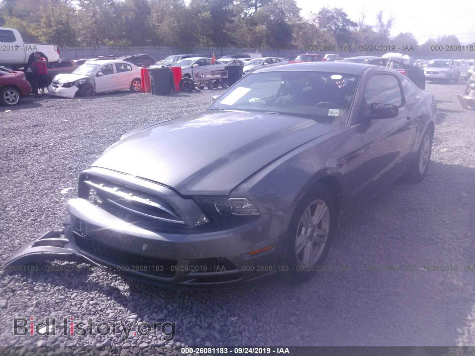 2014 FORD MUSTANG - VIN: 1ZVBP8AM4E5250997 - Фото 2