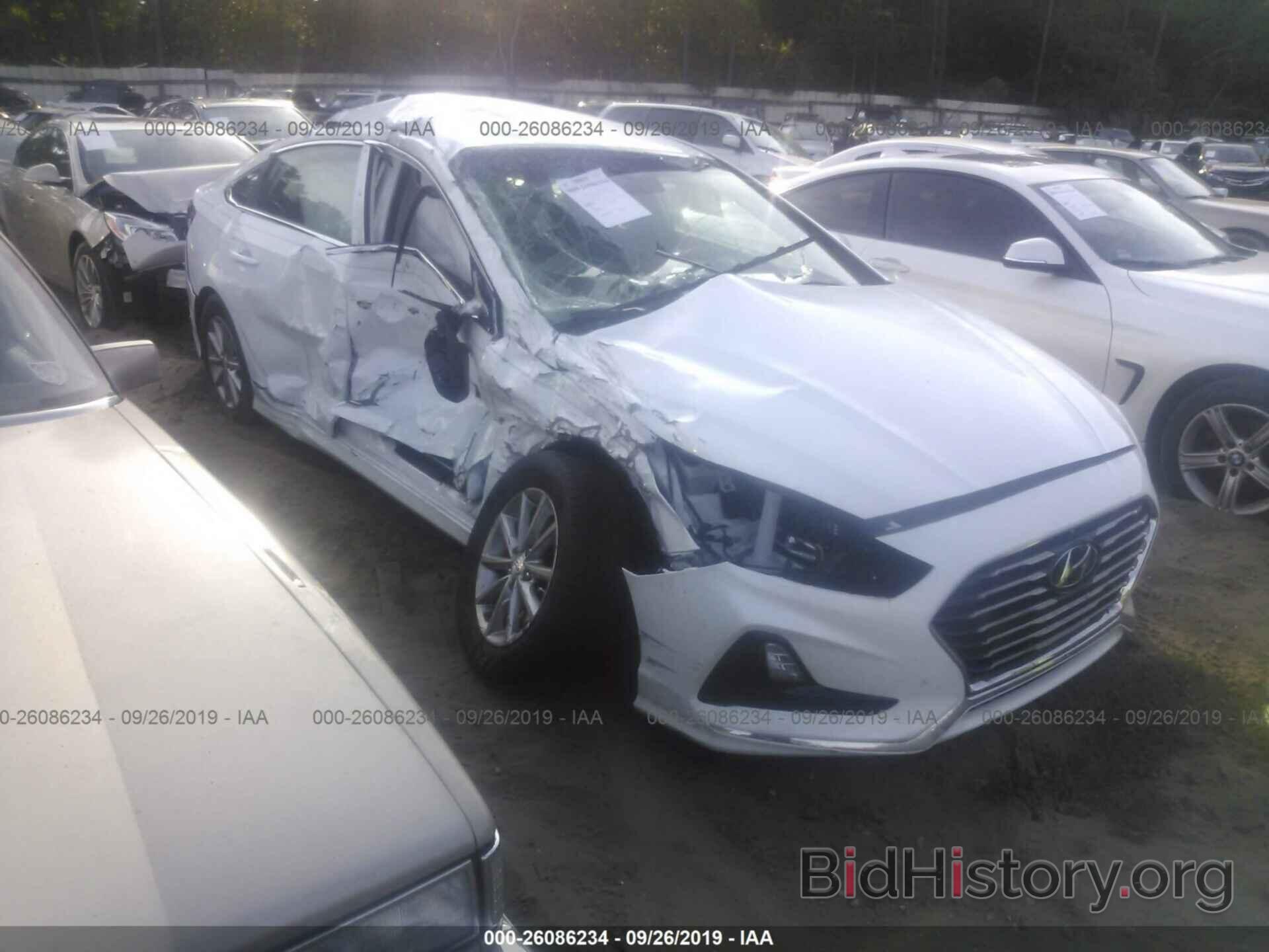 Photo 5NPE24AF0KH750174 - HYUNDAI SONATA 2019