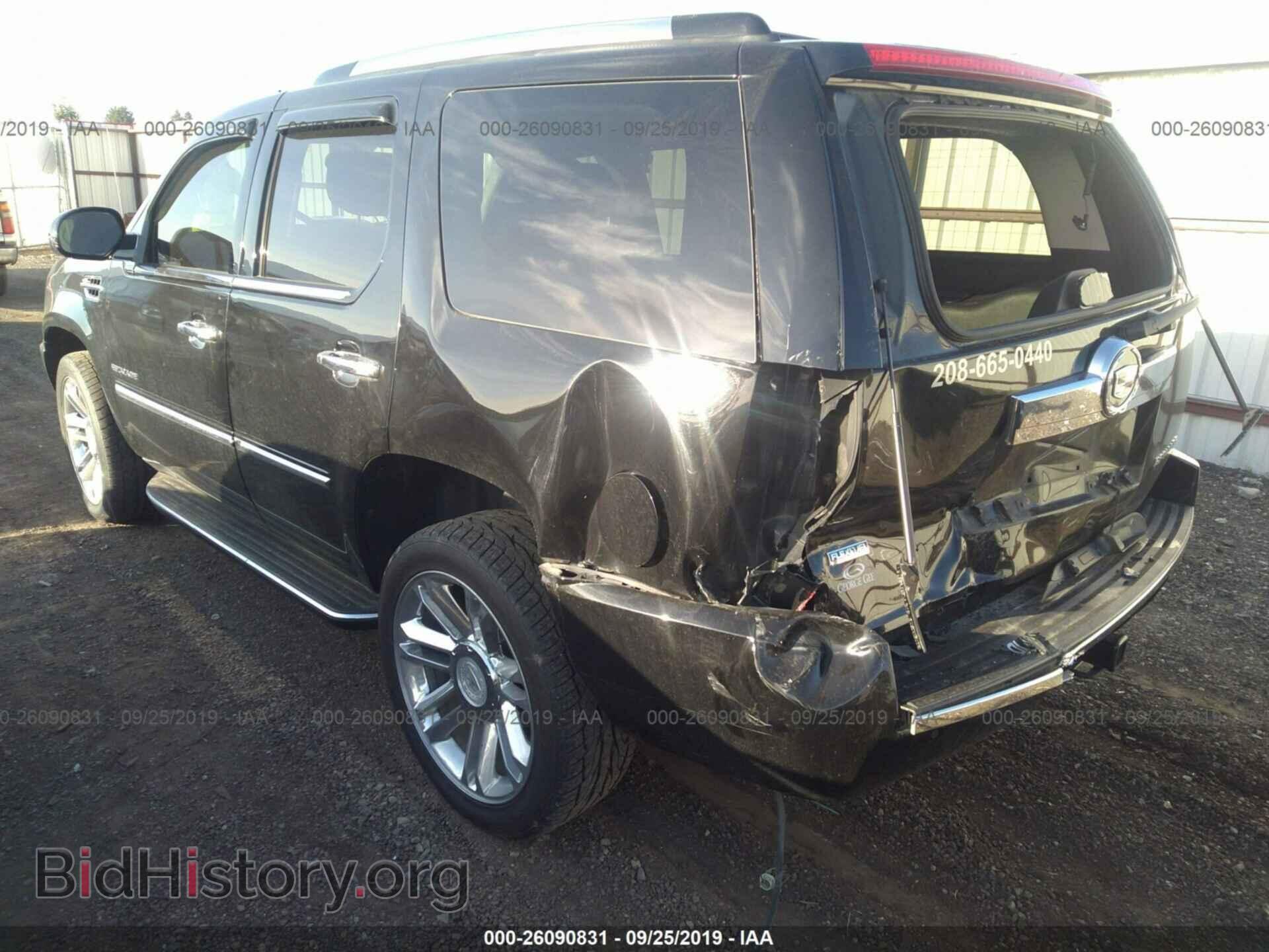 2011 CADILLAC ESCALADE - VIN: 1GYS4AEF5BR249130 - Фото 3