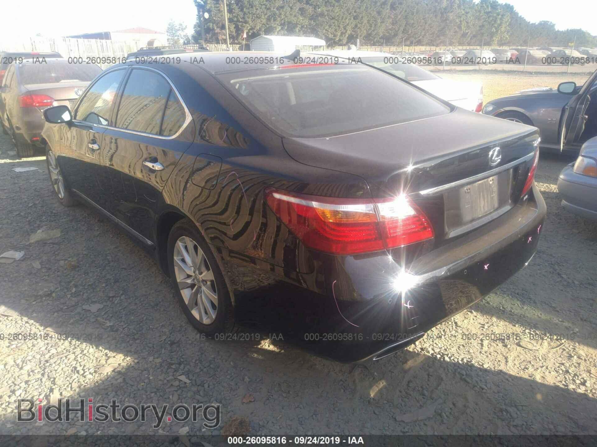 2011 LEXUS LS - VIN: JTHCL5EF0B5010854 - Фото 3