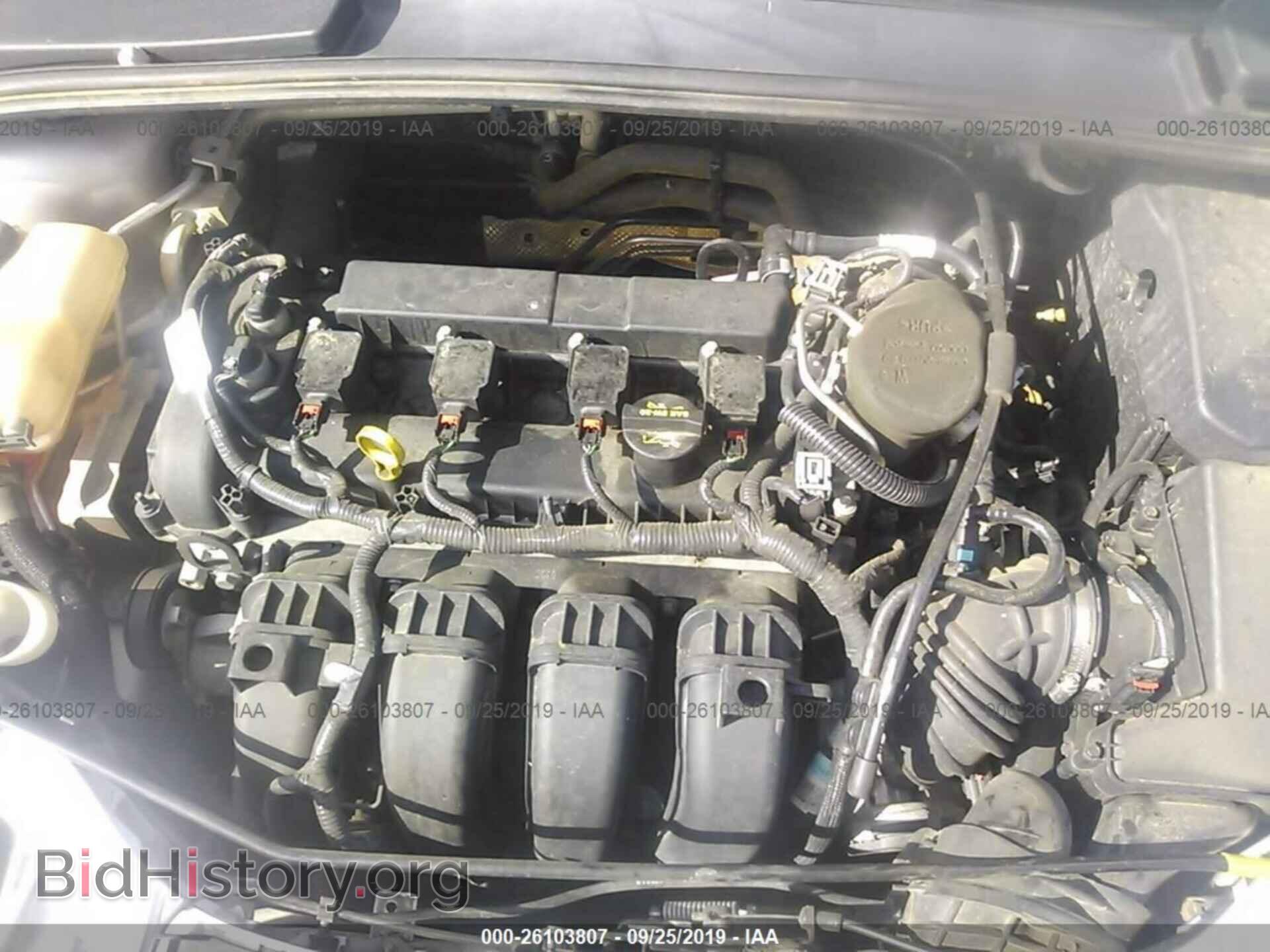 2013 FORD FOCUS - VIN: 1FADP3F2XDL272637 - Фото 10