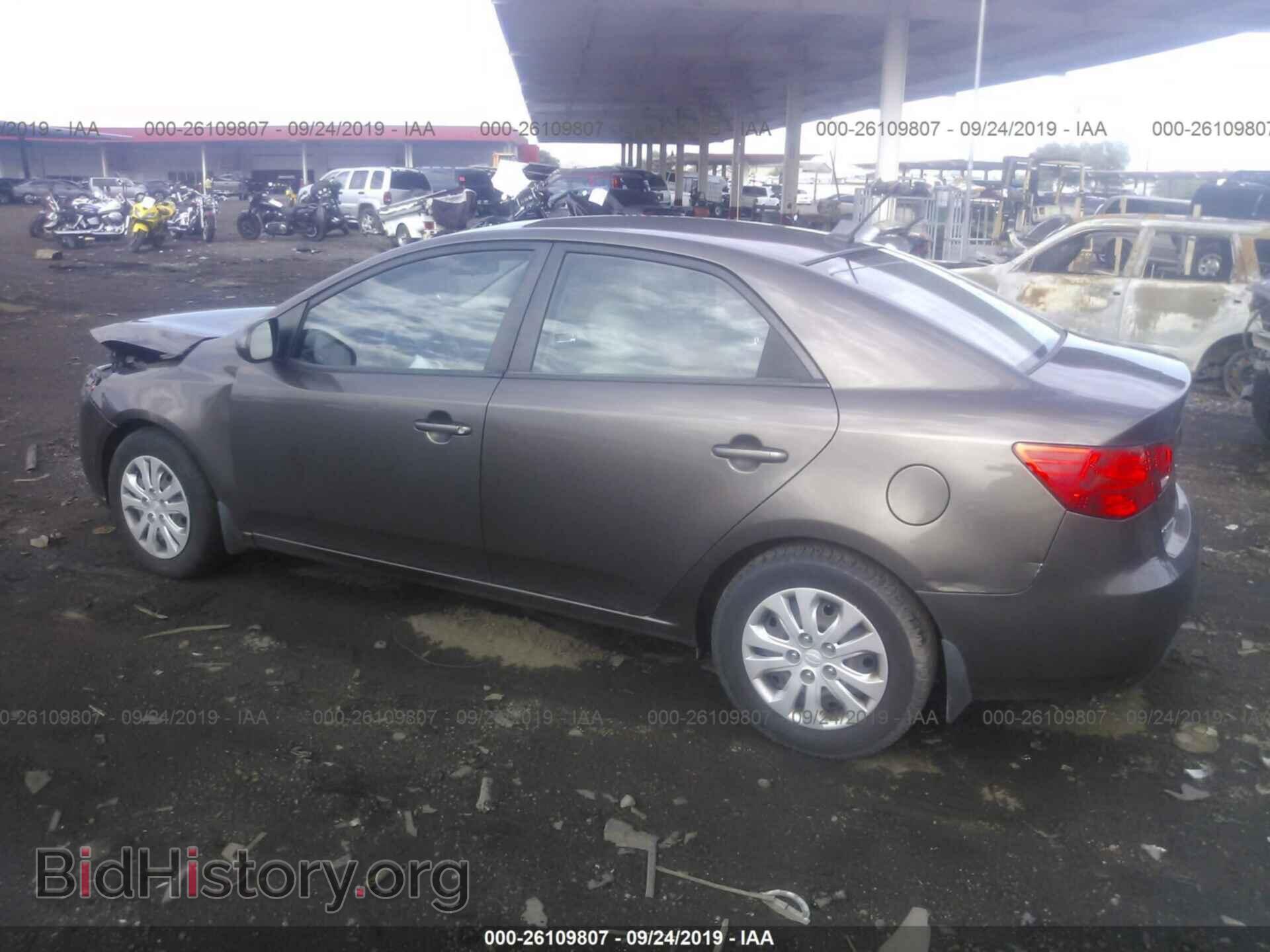 2013 KIA FORTE - VIN: KNAFU4A27D5653520 - Фото 3