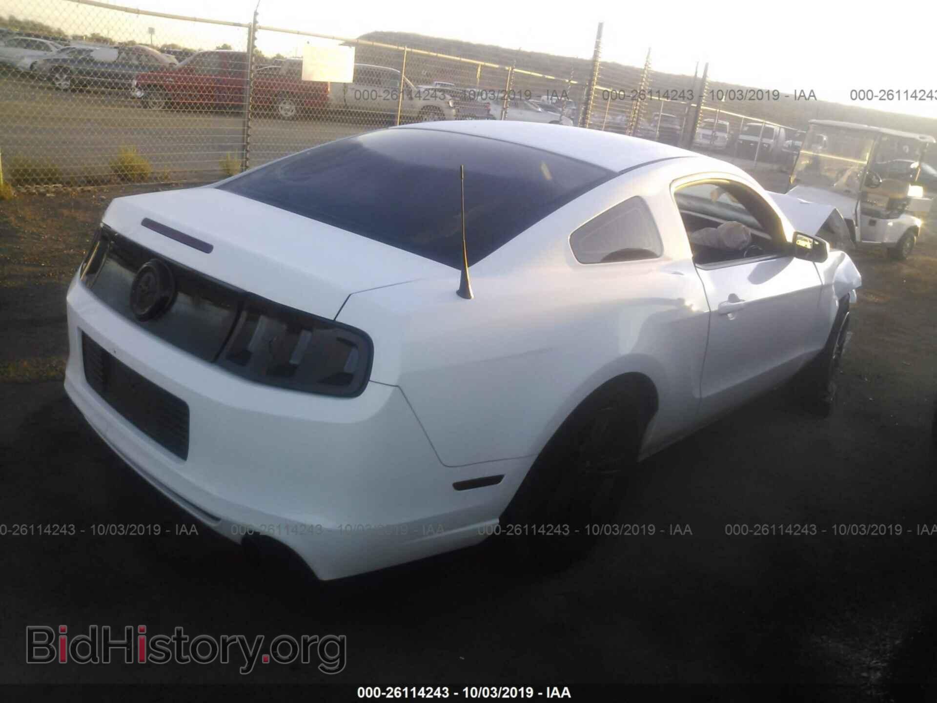 2013 FORD MUSTANG - VIN: 1ZVBP8AM8D5283225 - Фото 4