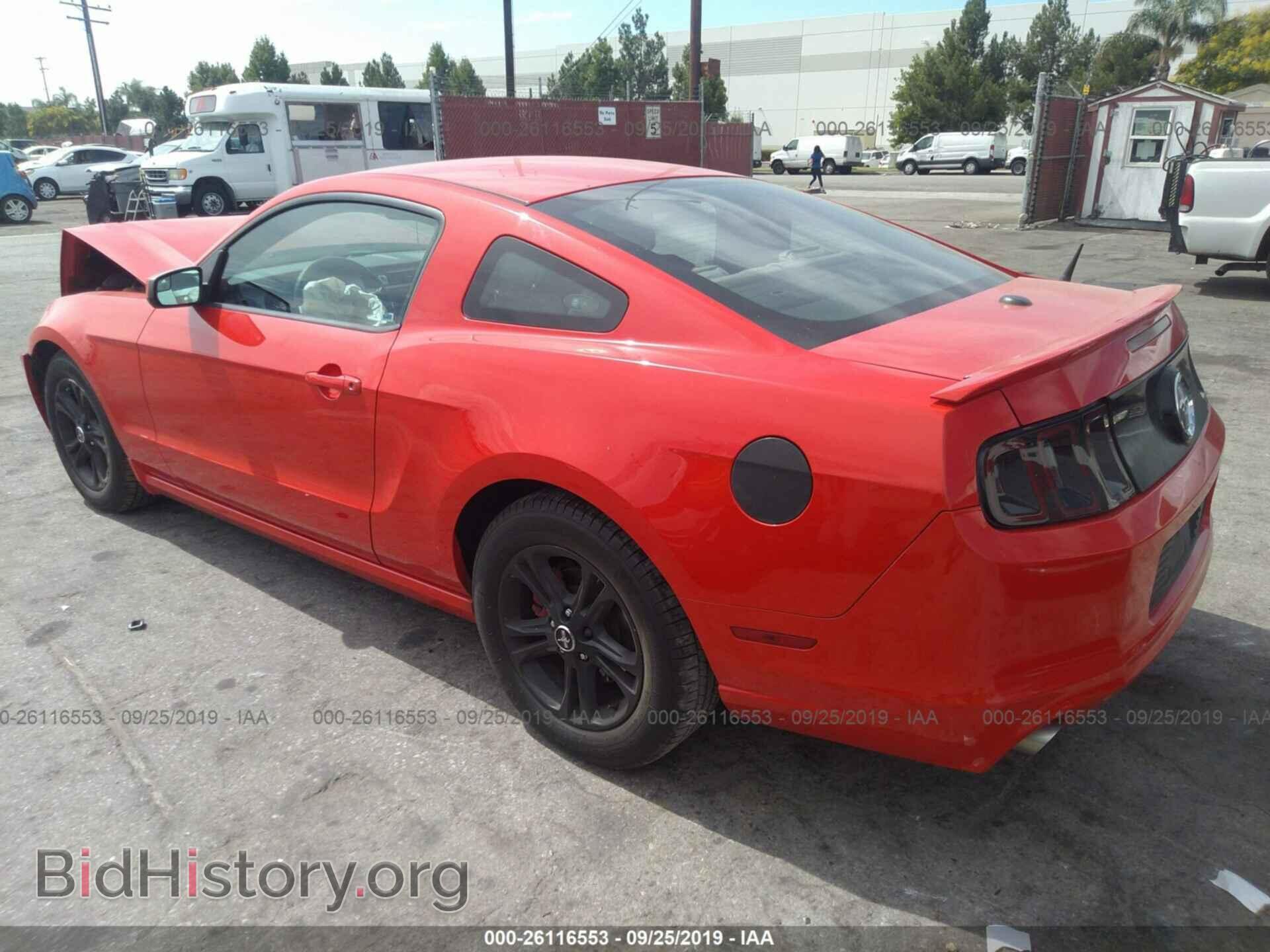 2014 FORD MUSTANG - VIN: 1ZVBP8AM4E5229745 - Фото 3