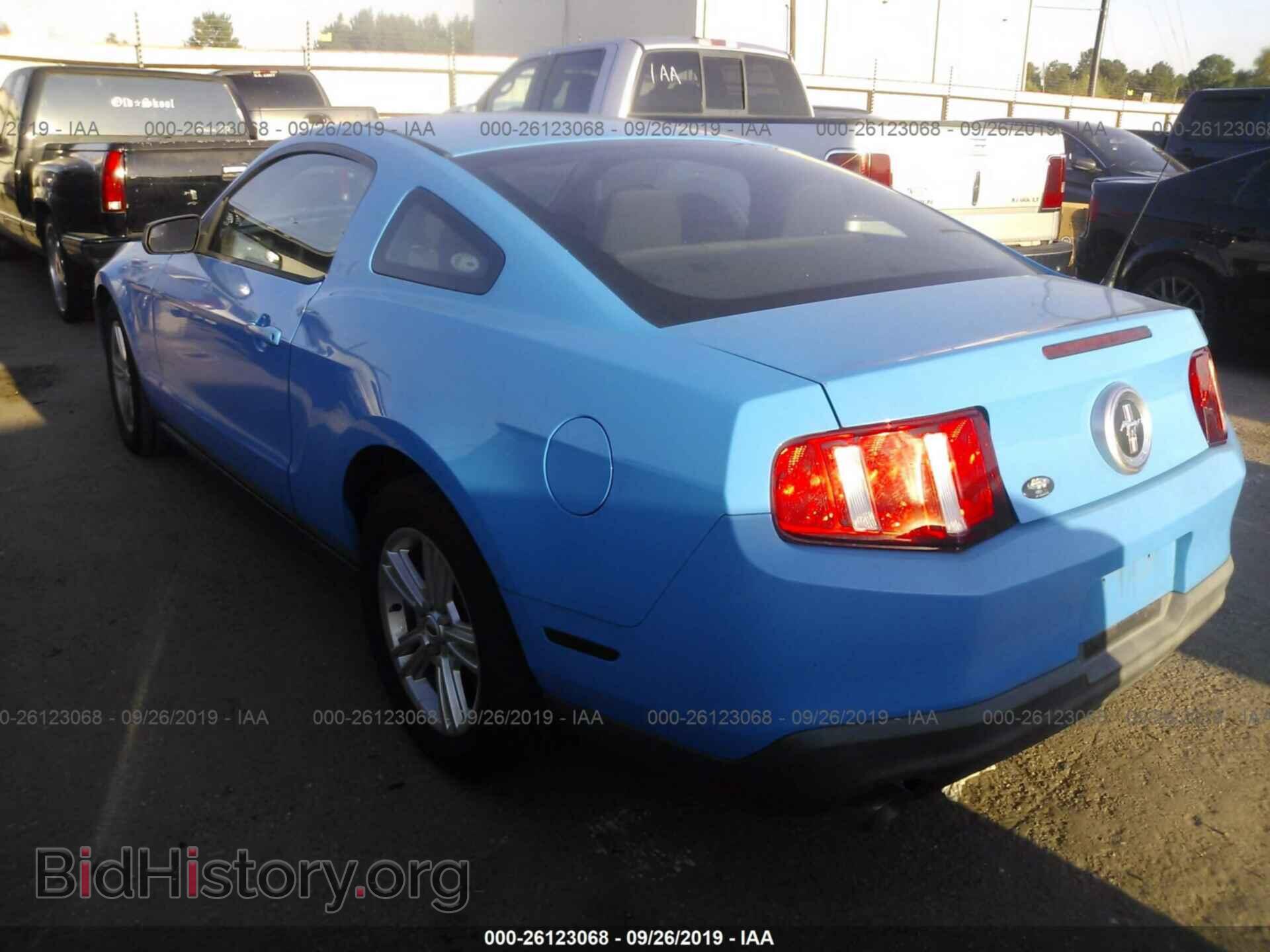 2011 FORD MUSTANG - VIN: 1ZVBP8AM1B5164106 - Фото 3