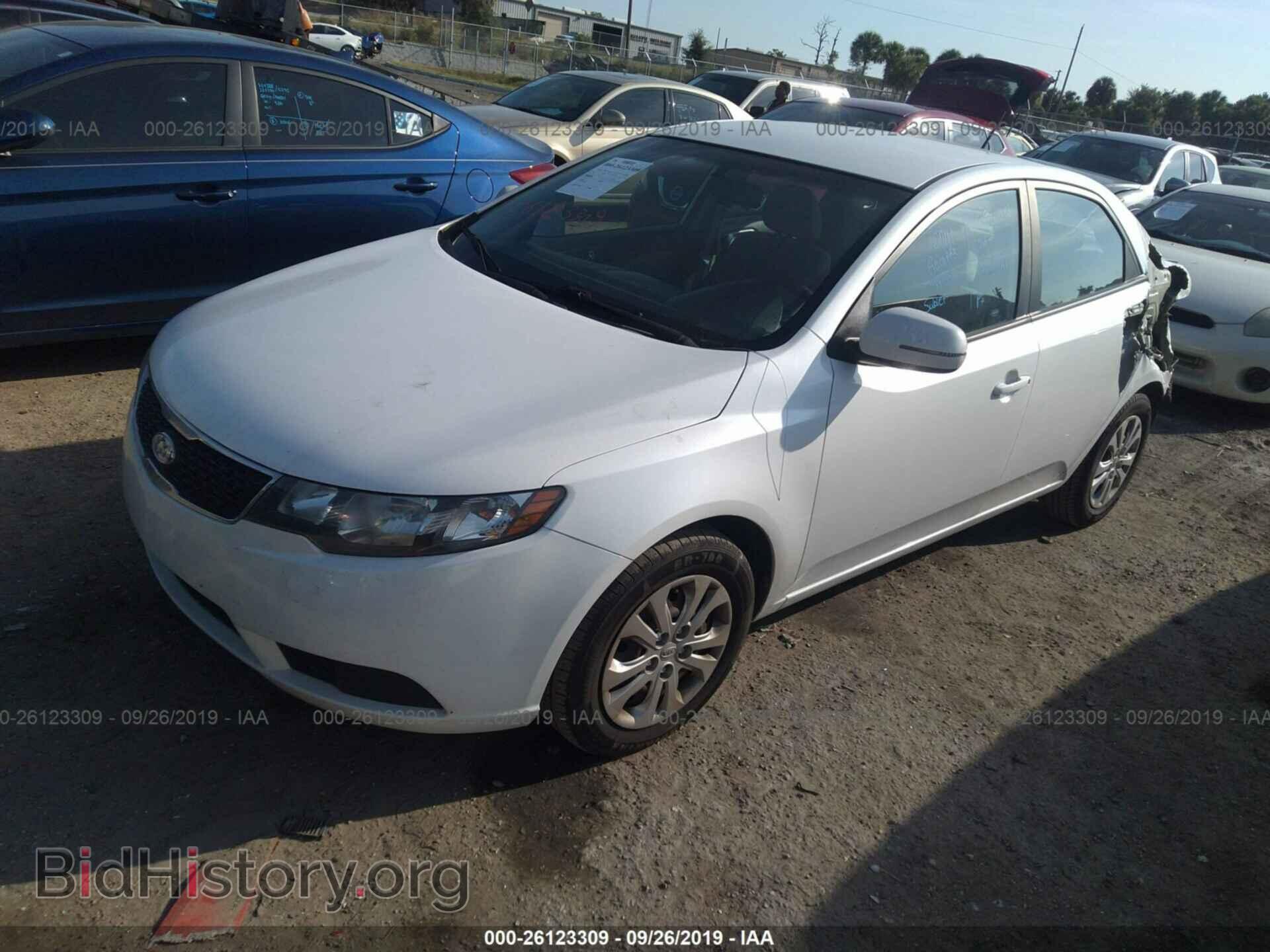 2013 KIA FORTE - VIN: KNAFU4A23D5719996 - Фото 2