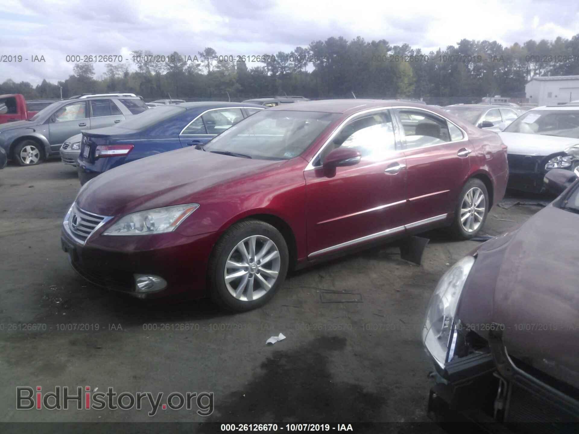 2011 LEXUS ES - VIN: JTHBK1EG0B2443253 - Фото 2