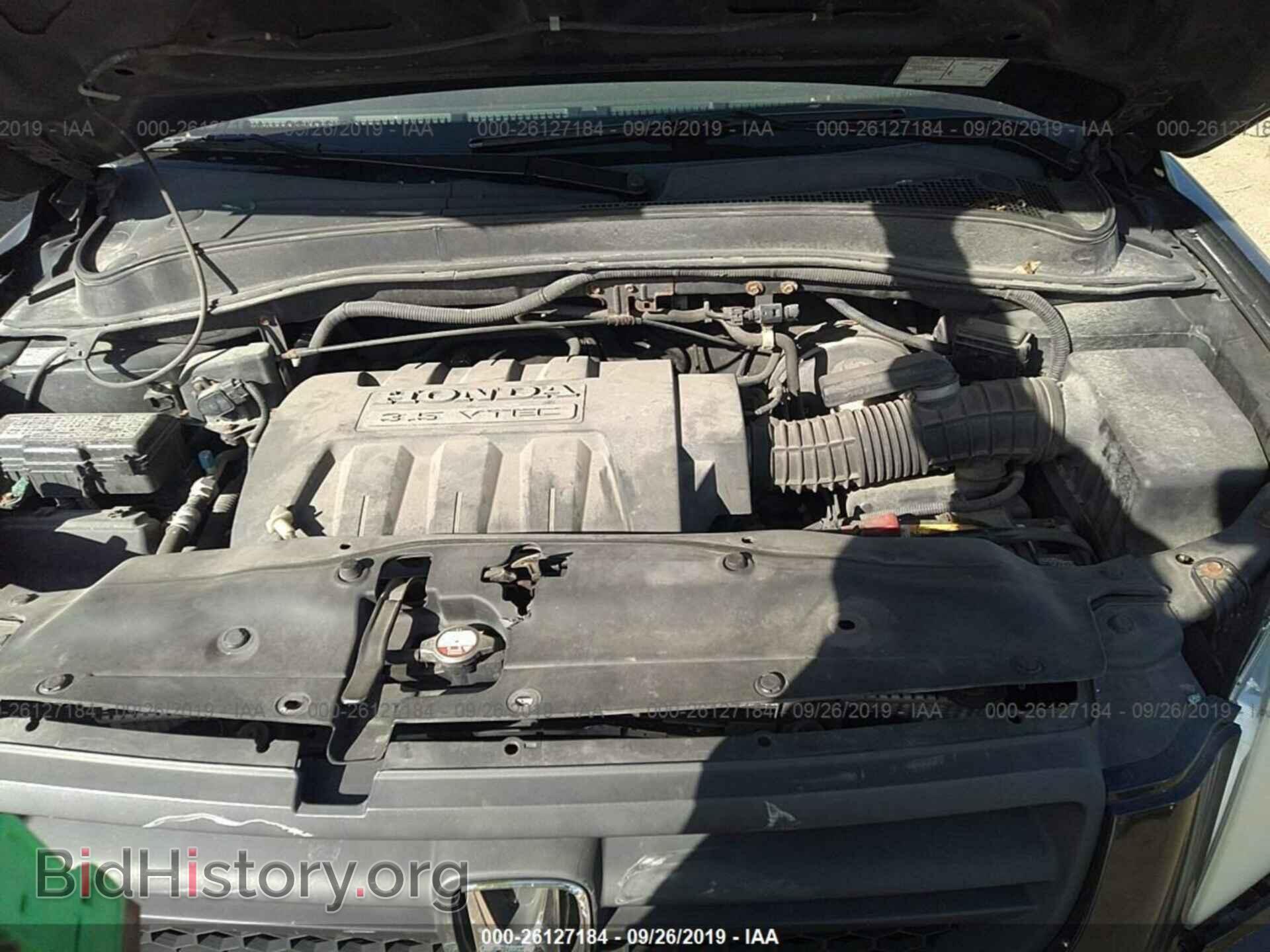 2005 HONDA PILOT - VIN: 5FNYF18555B029249 - Фото 10