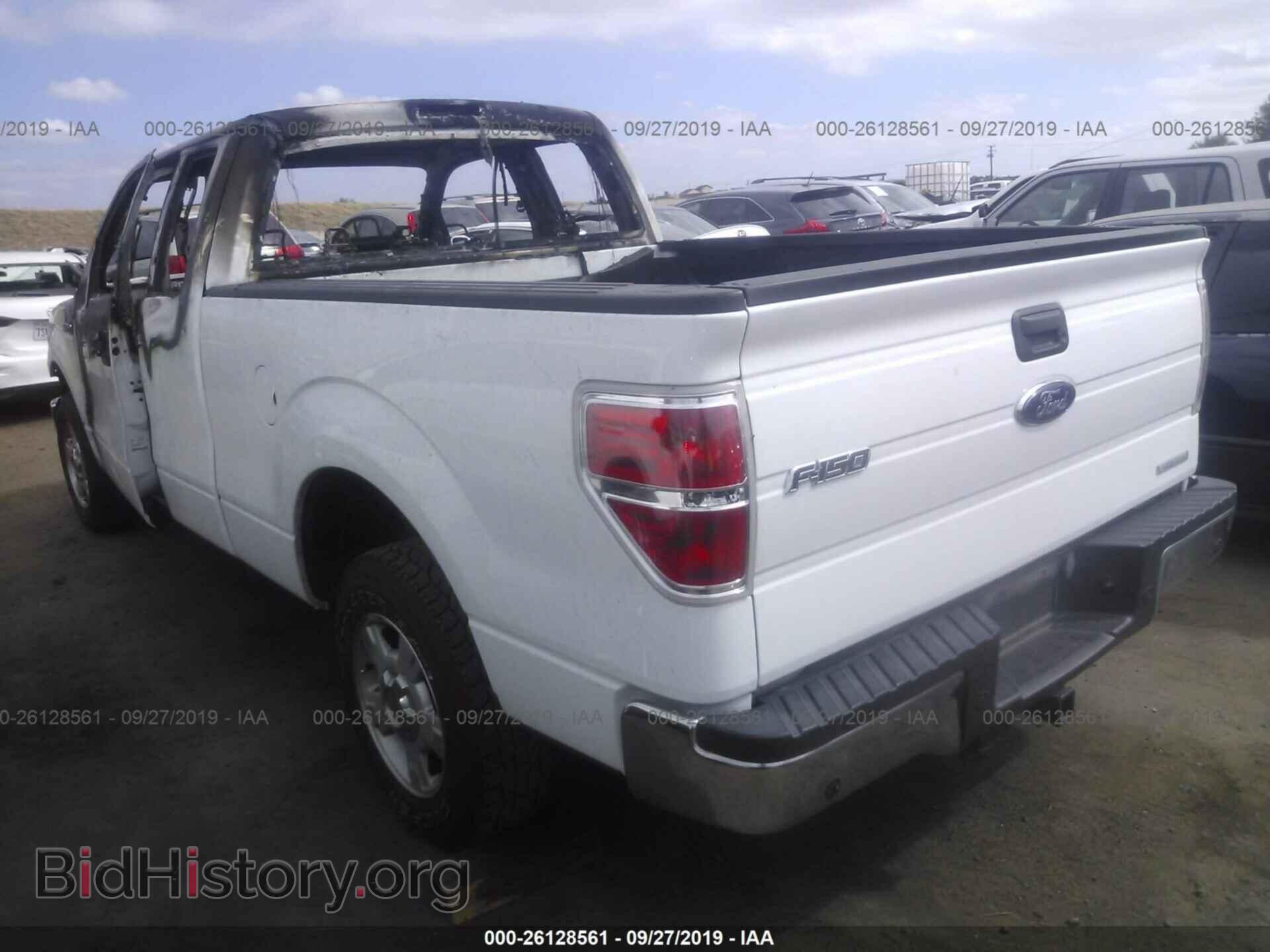2013 FORD F150 - VIN: 1FTFX1CT7DKE89444 - Фото 3