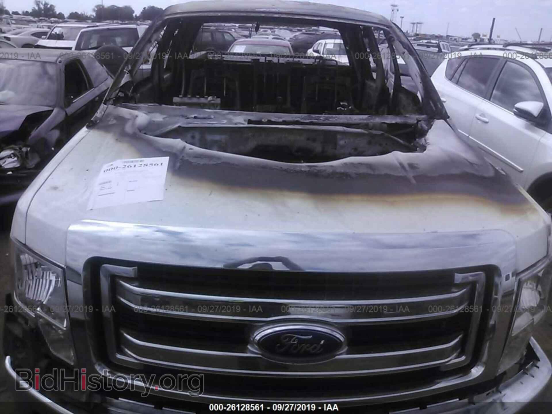 2013 FORD F150 - VIN: 1FTFX1CT7DKE89444 - Фото 10