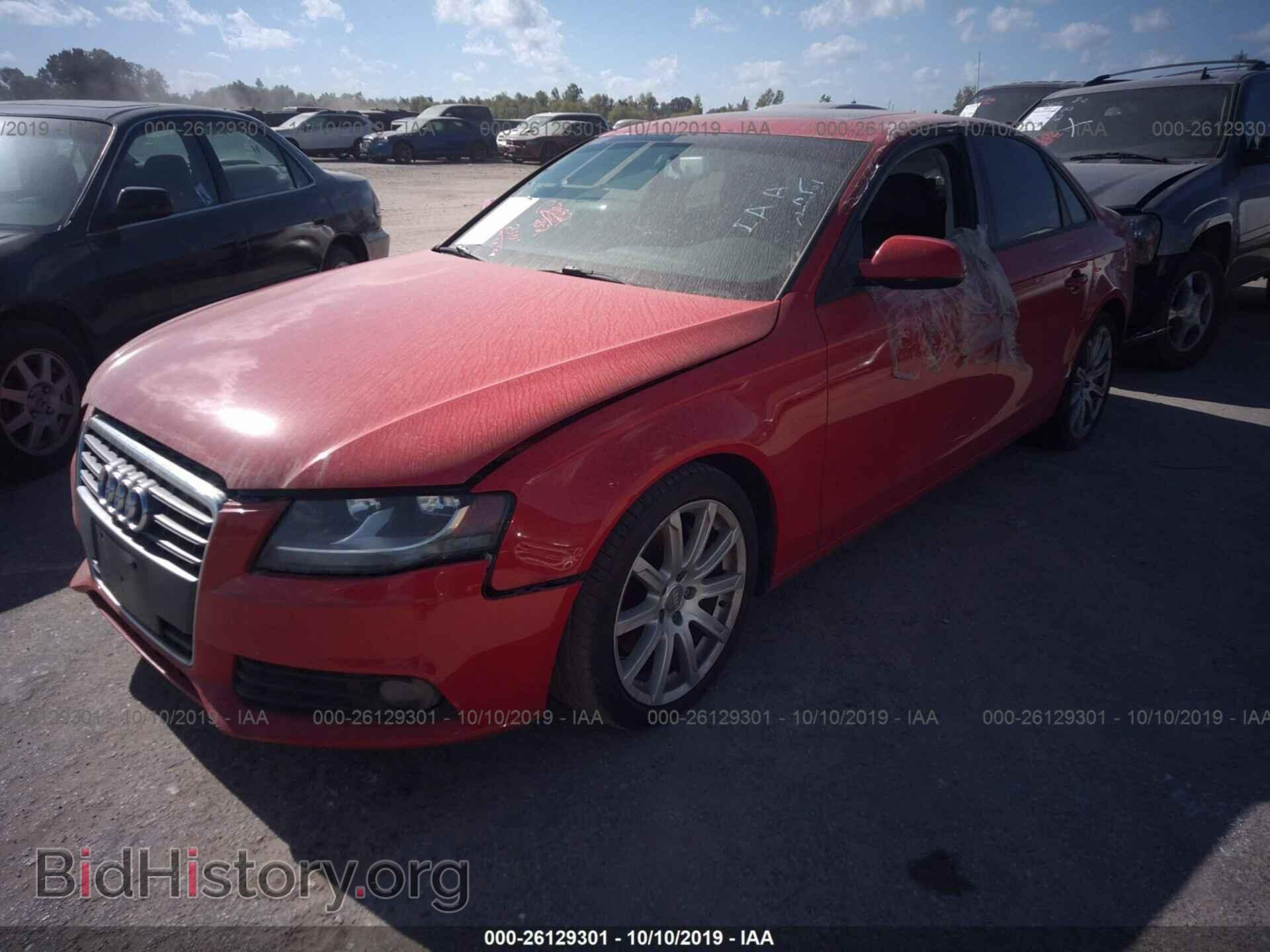 2010 AUDI A4 - VIN: WAUAFAFL2AN042326 - Фото 2
