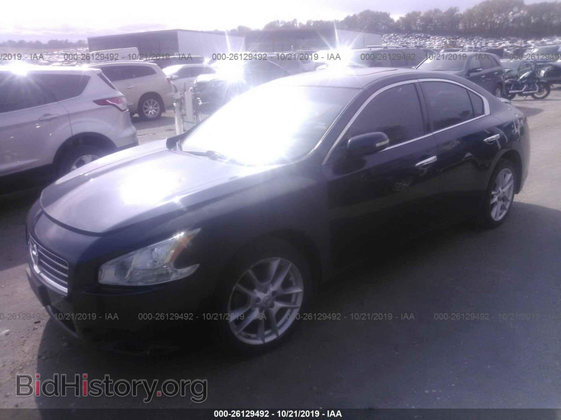 2011 NISSAN MAXIMA - VIN: 1N4AA5AP7BC846109 - Фото 2