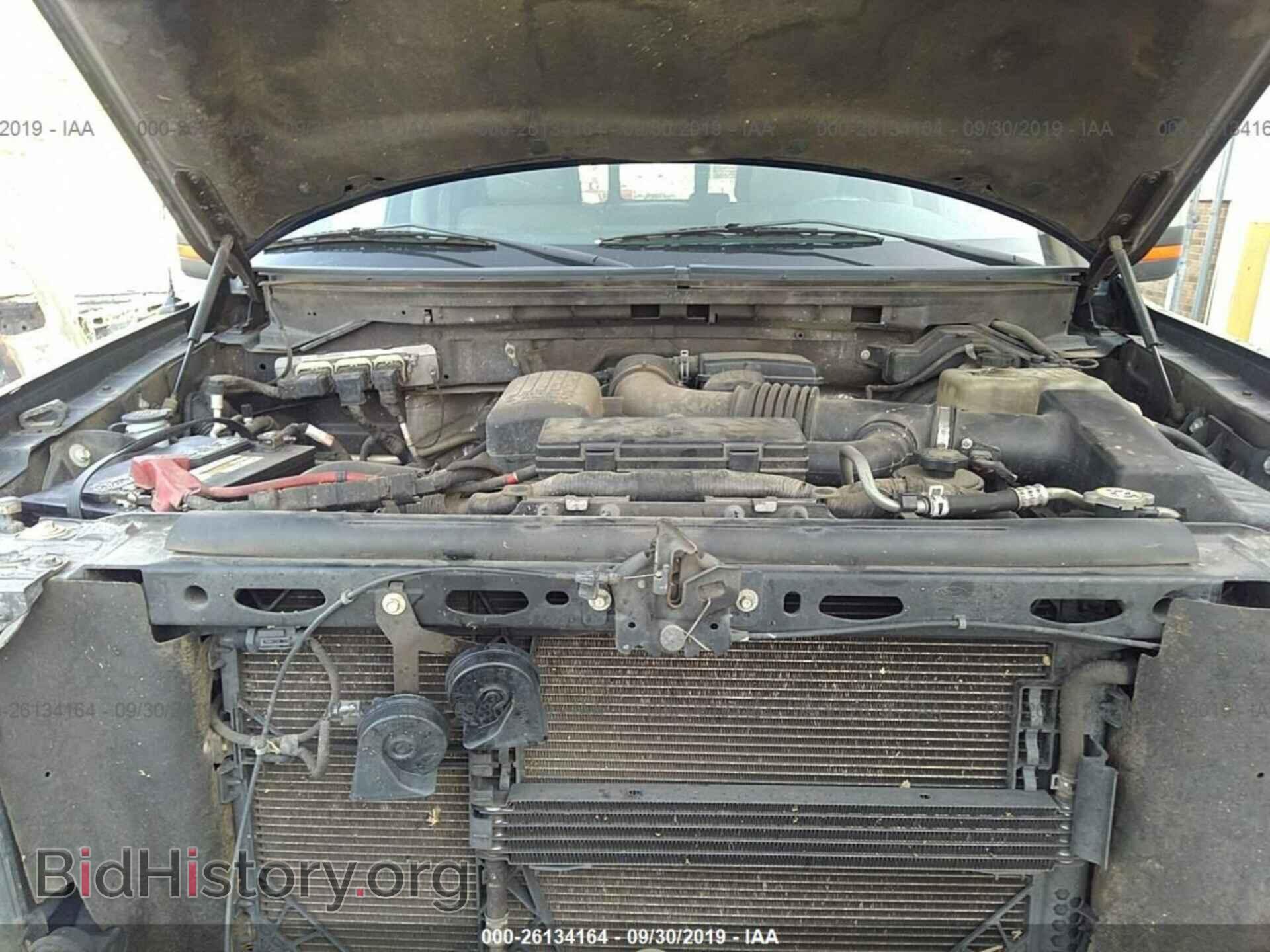 2010 FORD F150 - VIN: 1FTFW1EV4AFA55178 - Фото 10