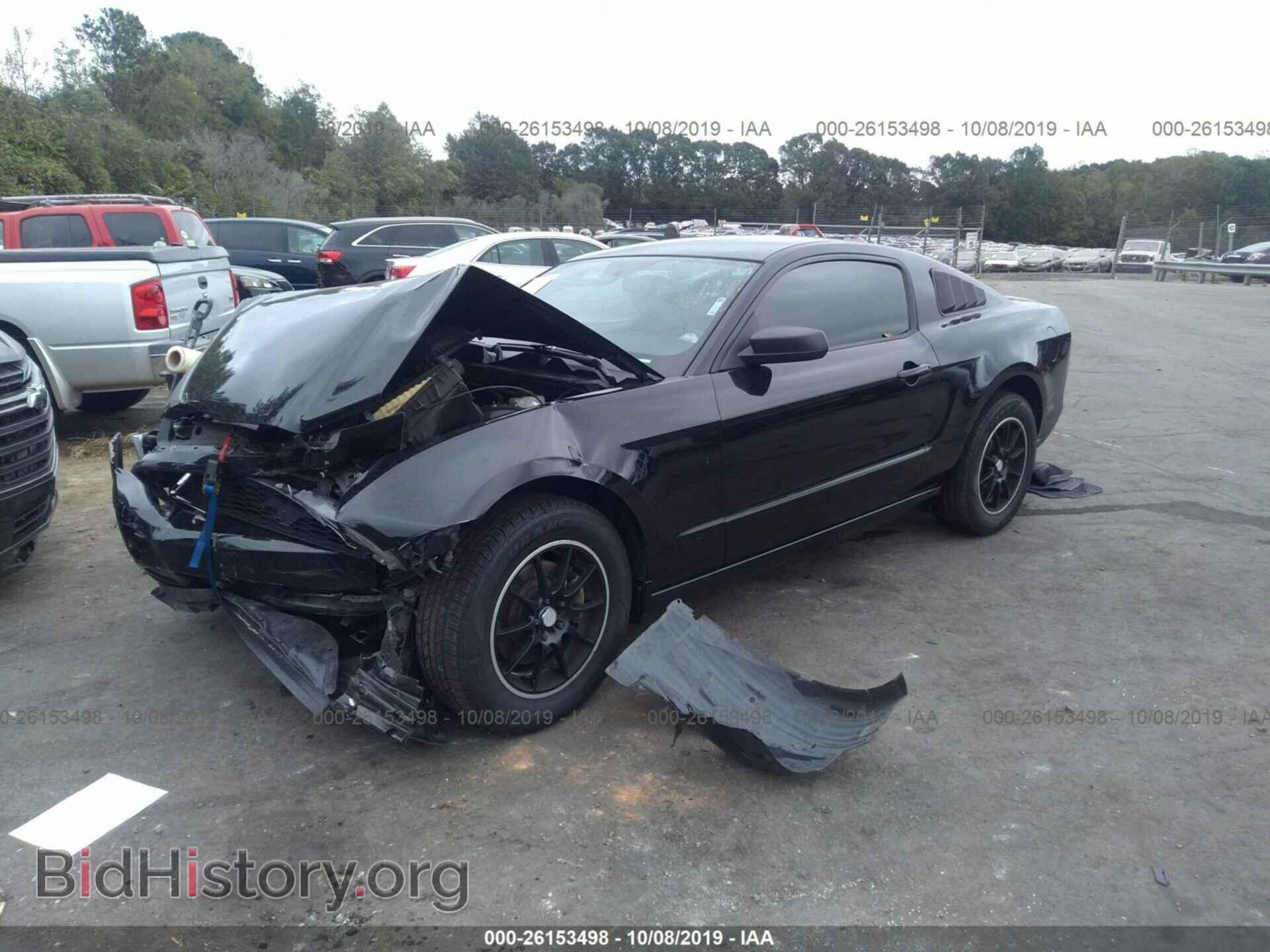 2014 FORD MUSTANG - VIN: 1ZVBP8AM4E5320207 - Фото 2