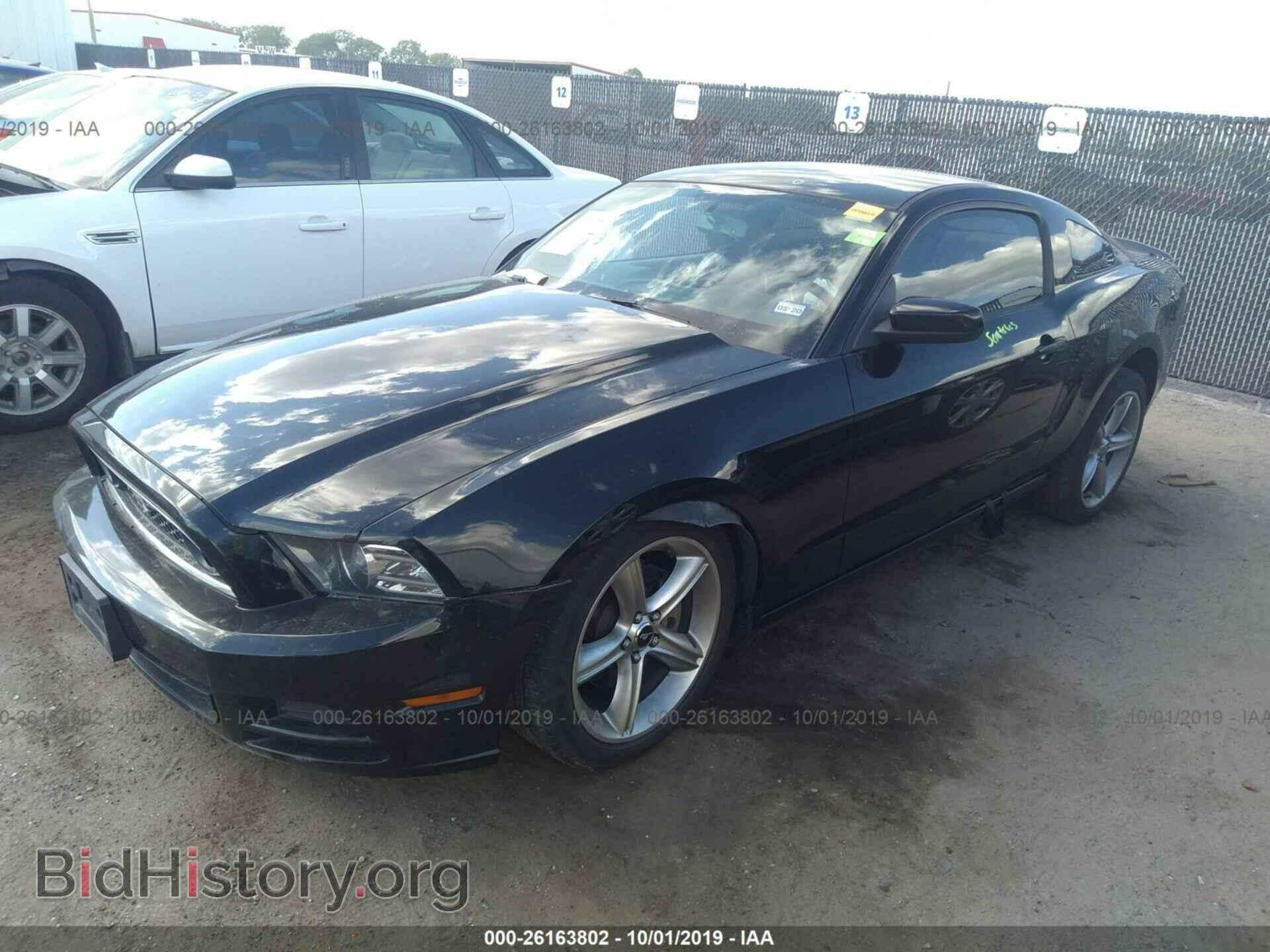 2013 FORD MUSTANG - VIN: 1ZVBP8AM6D5245184 - Фото 2