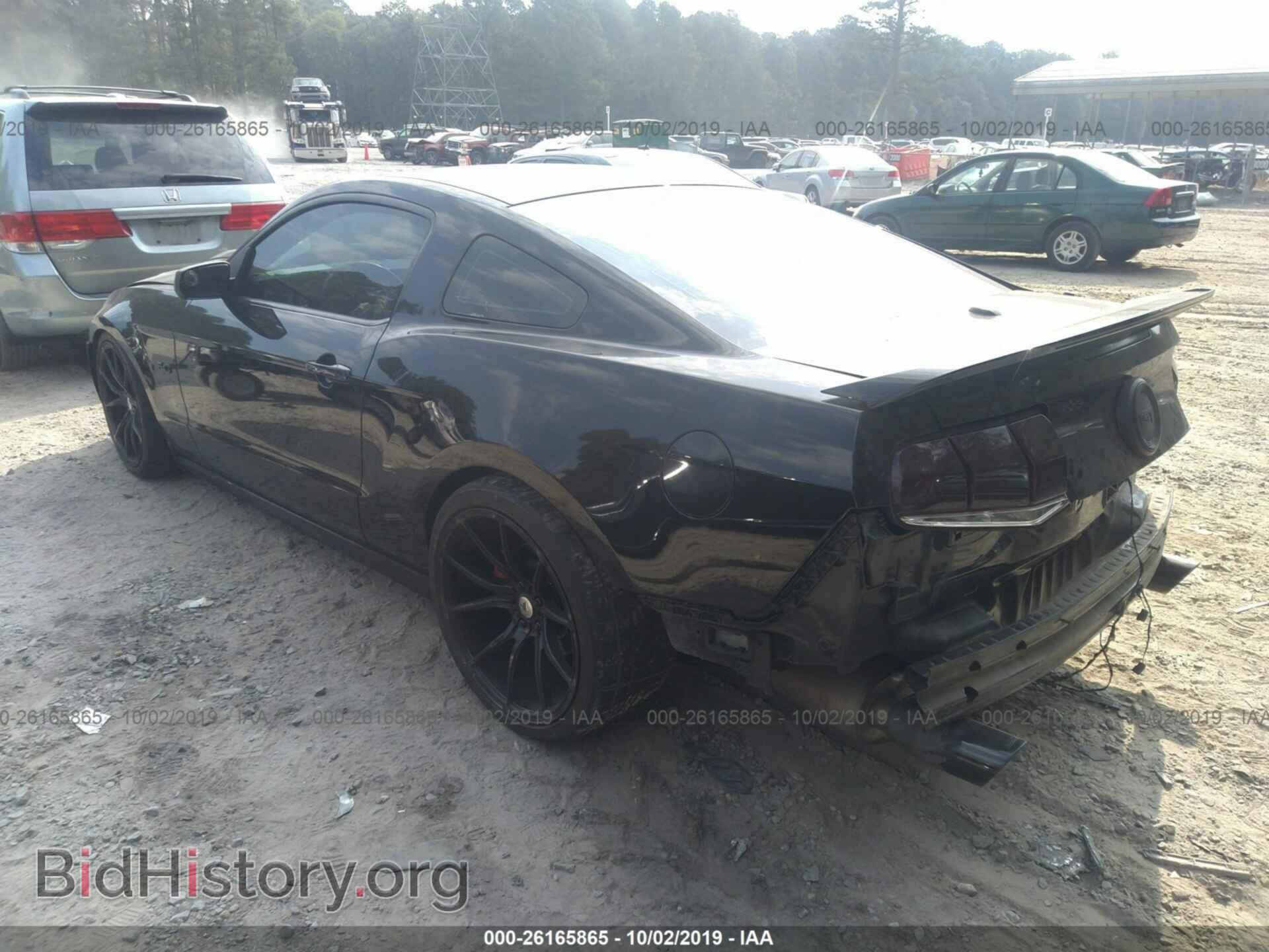 2011 FORD MUSTANG - VIN: 1ZVBP8CF0B5160224 - Фото 3