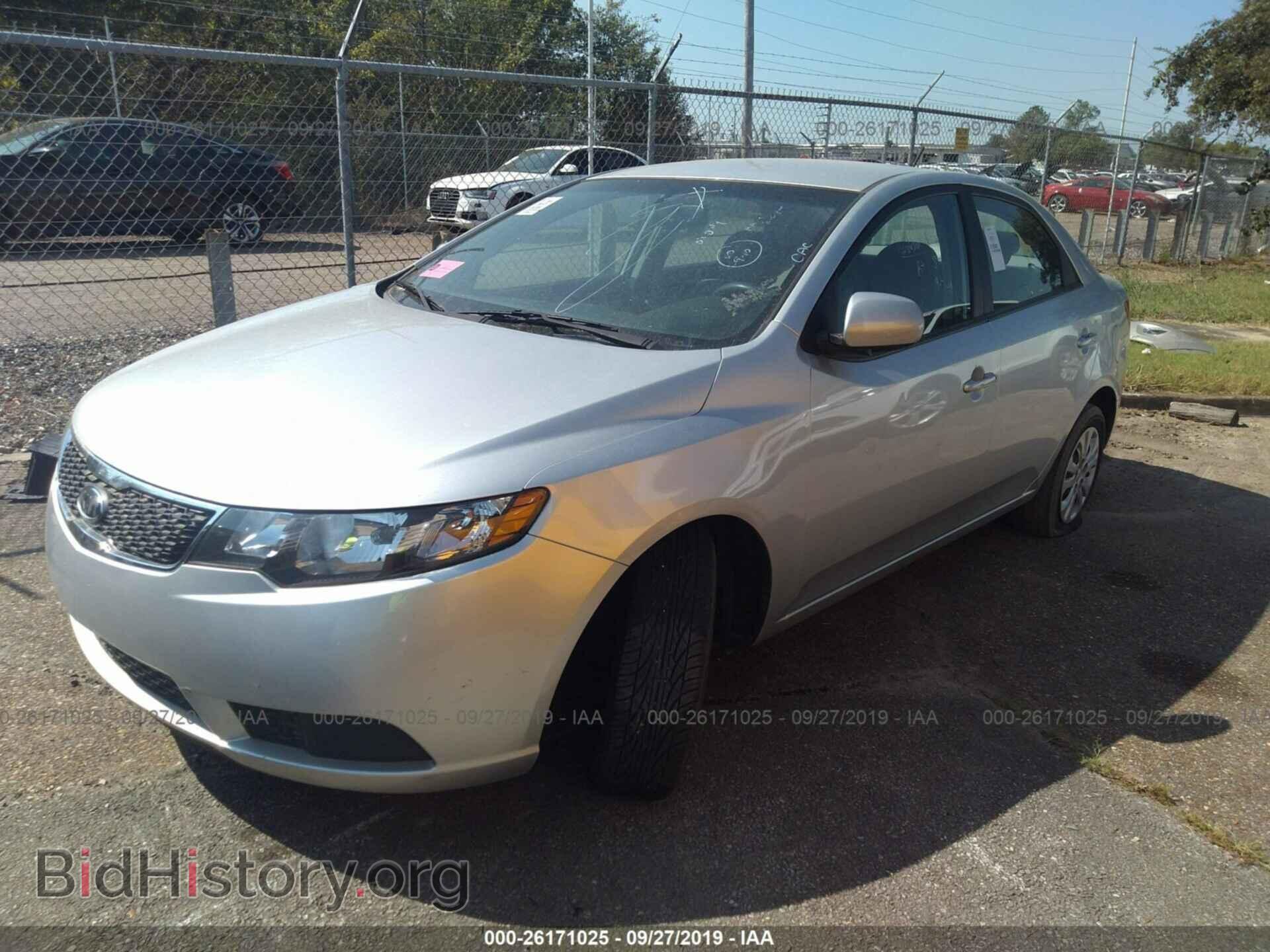 2013 KIA FORTE - VIN: KNAFT4A29D5732917 - Фото 2