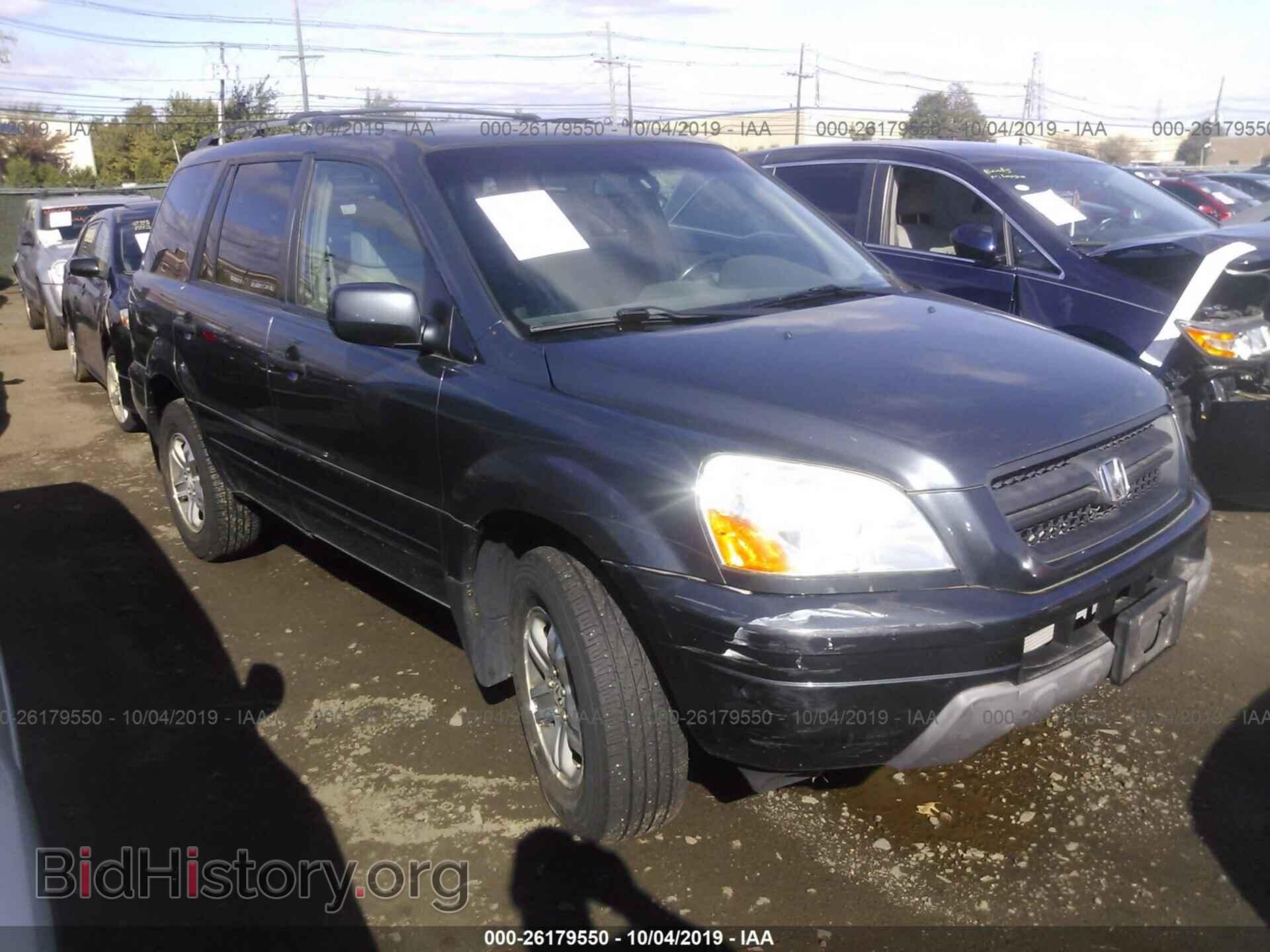 Photo 5FNYF18625B000302 - HONDA PILOT 2005