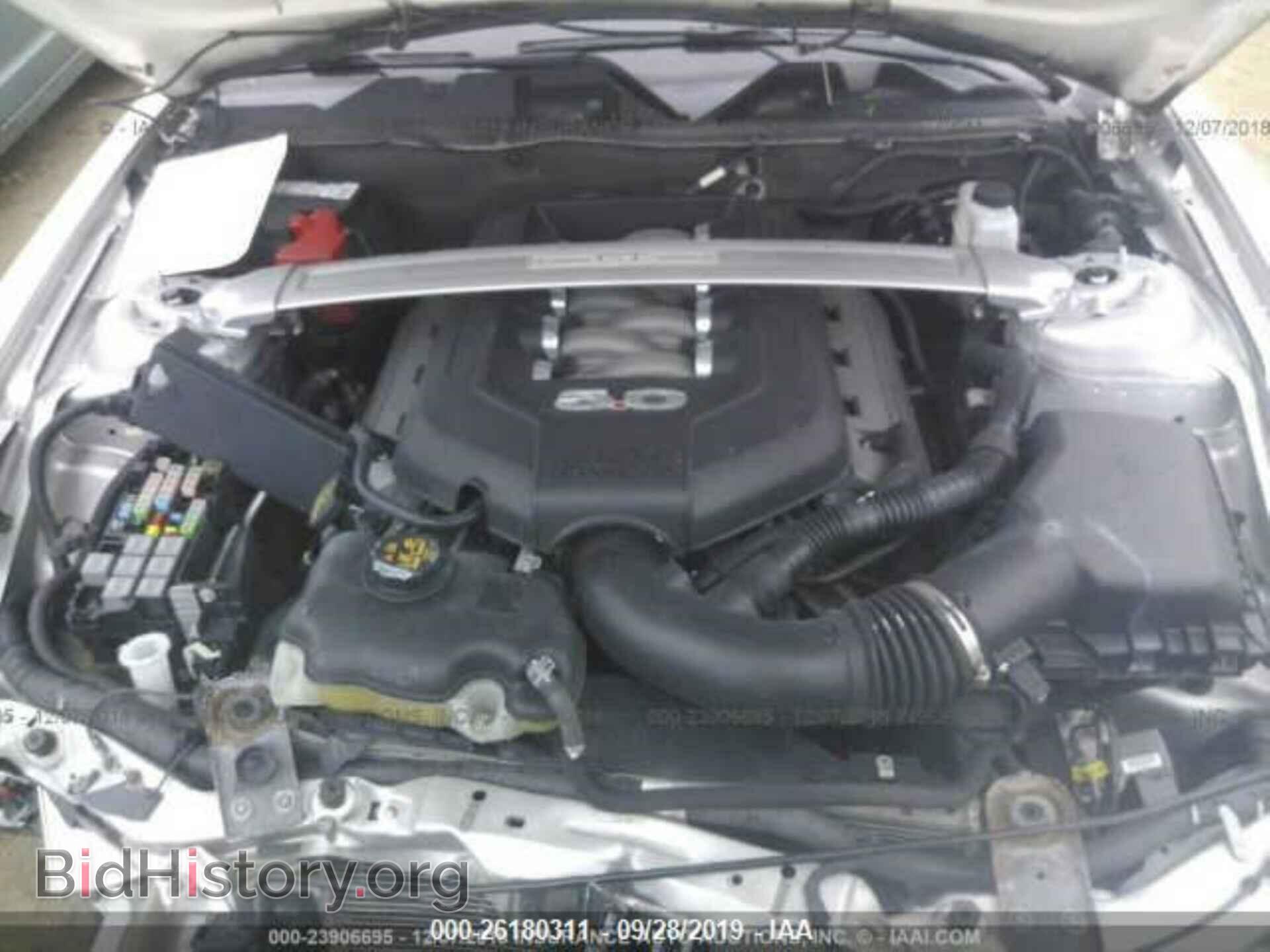 2011 FORD MUSTANG - VIN: 1ZVBP8CF4B5108515 - Фото 10