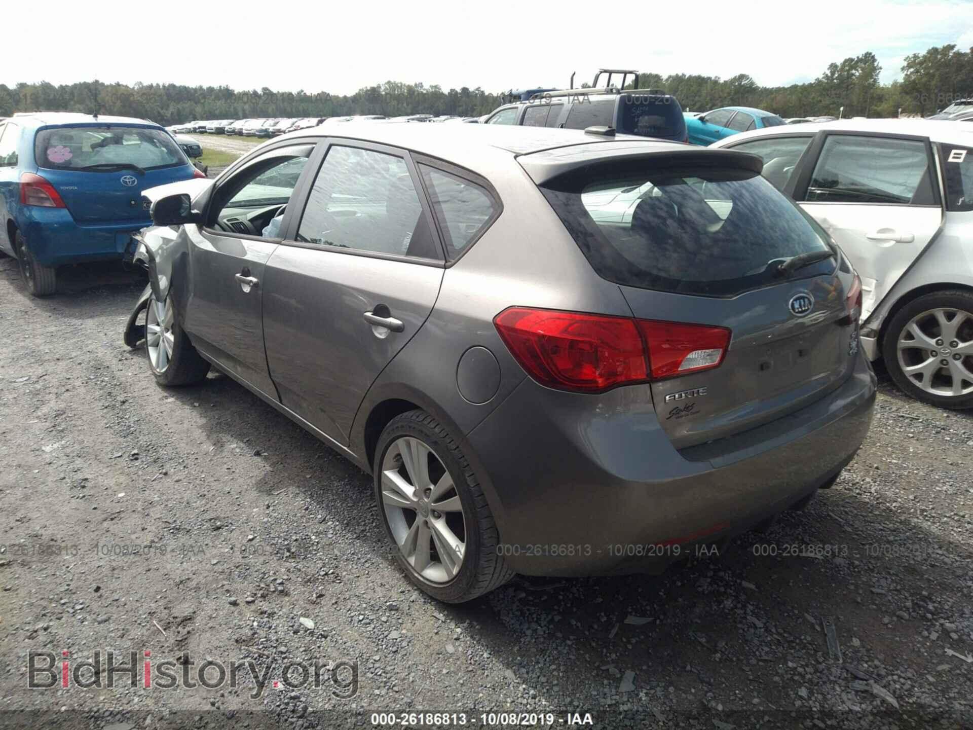 2013 KIA FORTE - VIN: KNAFW5A31D5664859 - Фото 3