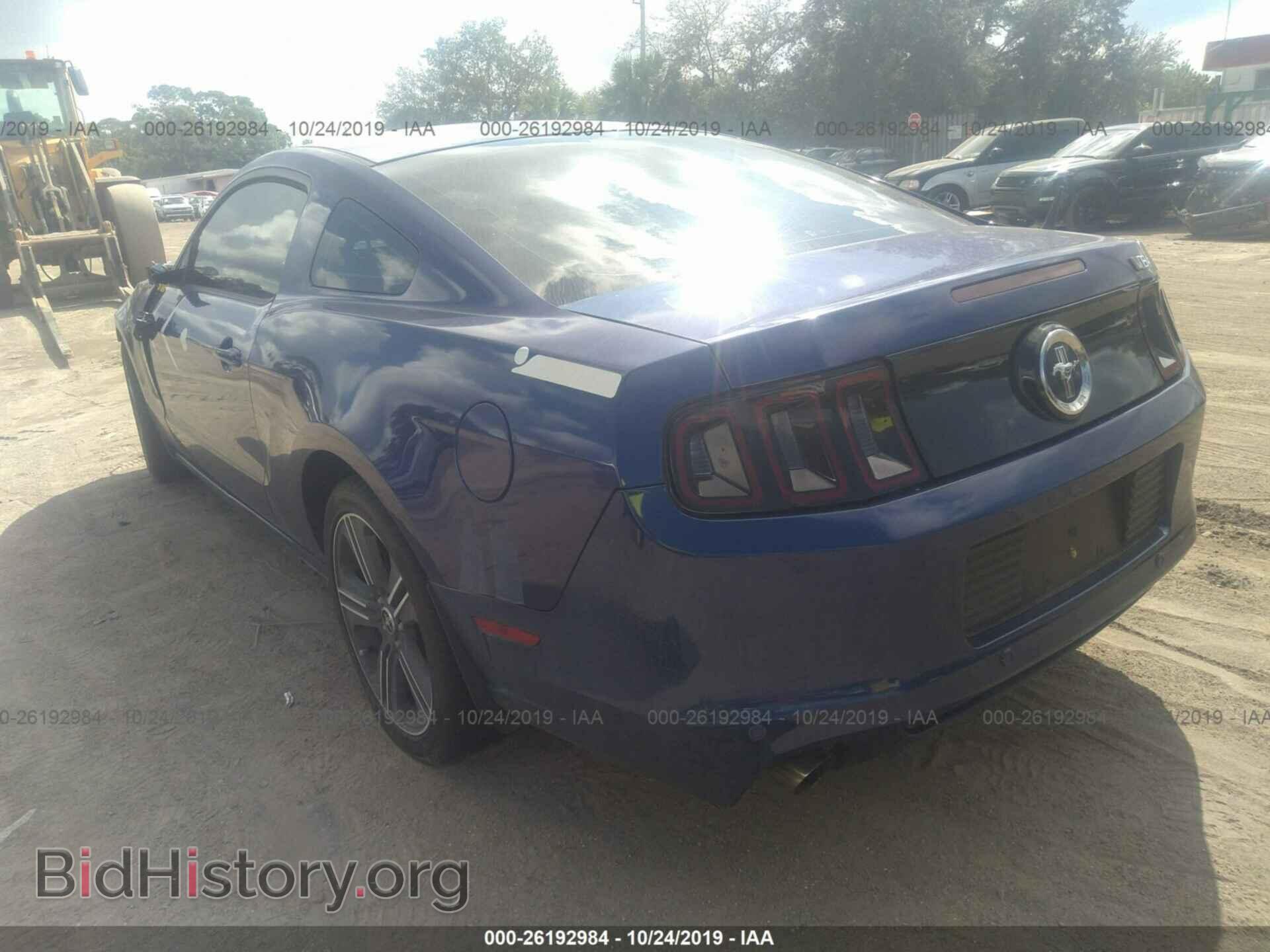 2014 FORD MUSTANG - VIN: 1ZVBP8AM4E5298385 - Фото 3