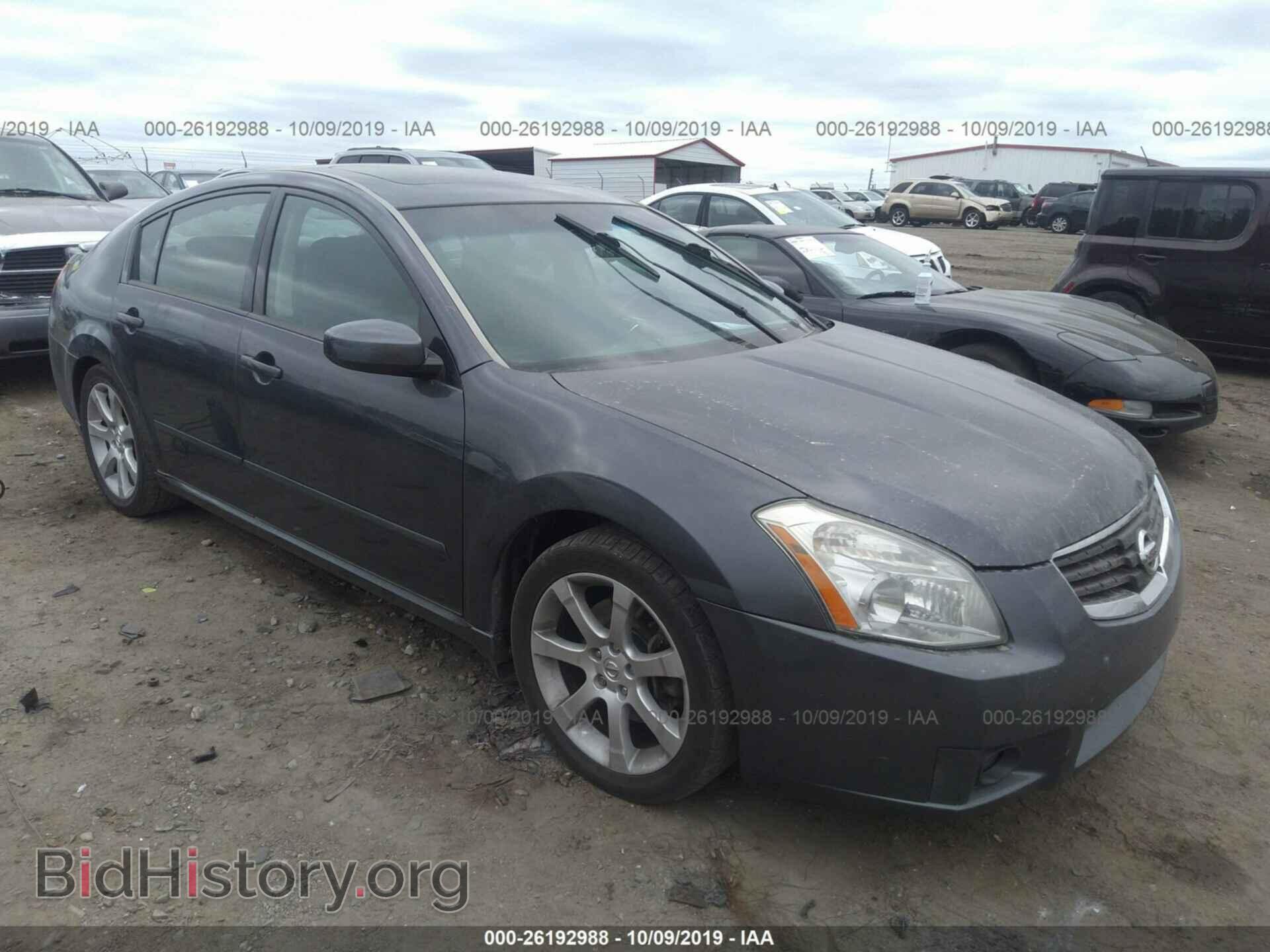 Photo 1N4BA41E18C809093 - NISSAN MAXIMA 2008