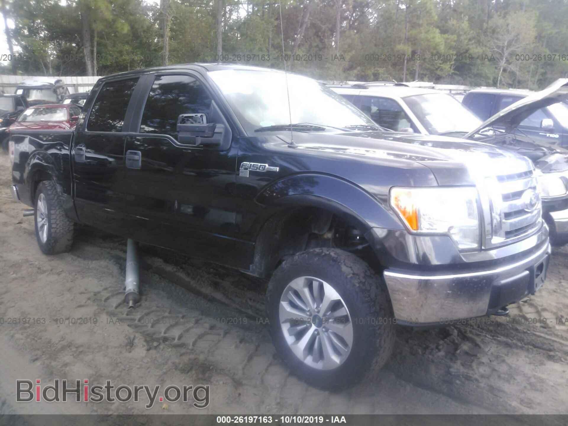 Фотография 1FTEW1E81AFC36583 - FORD F150 2010