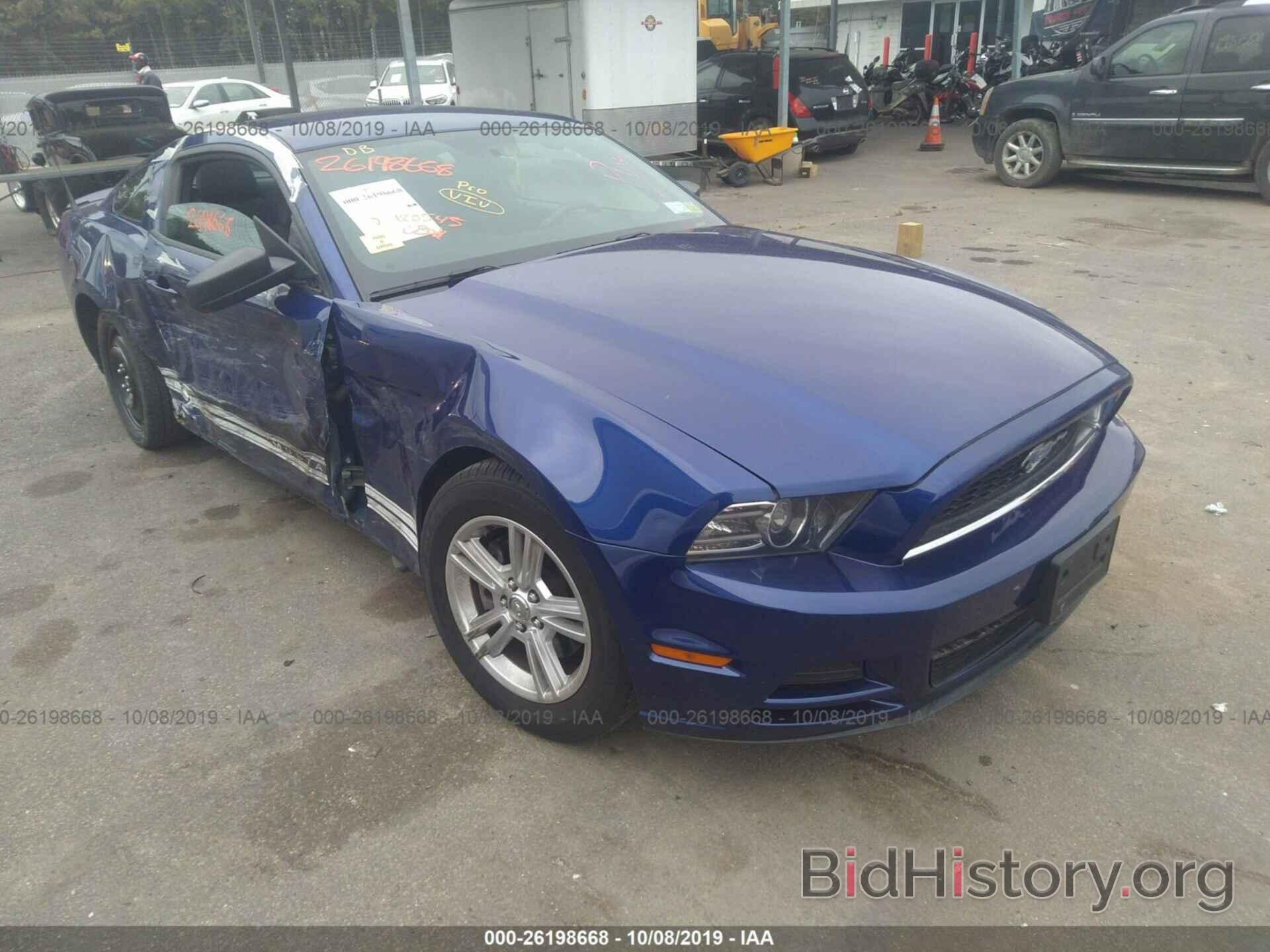 Photo 1ZVBP8AM8D5225910 - FORD MUSTANG 2013